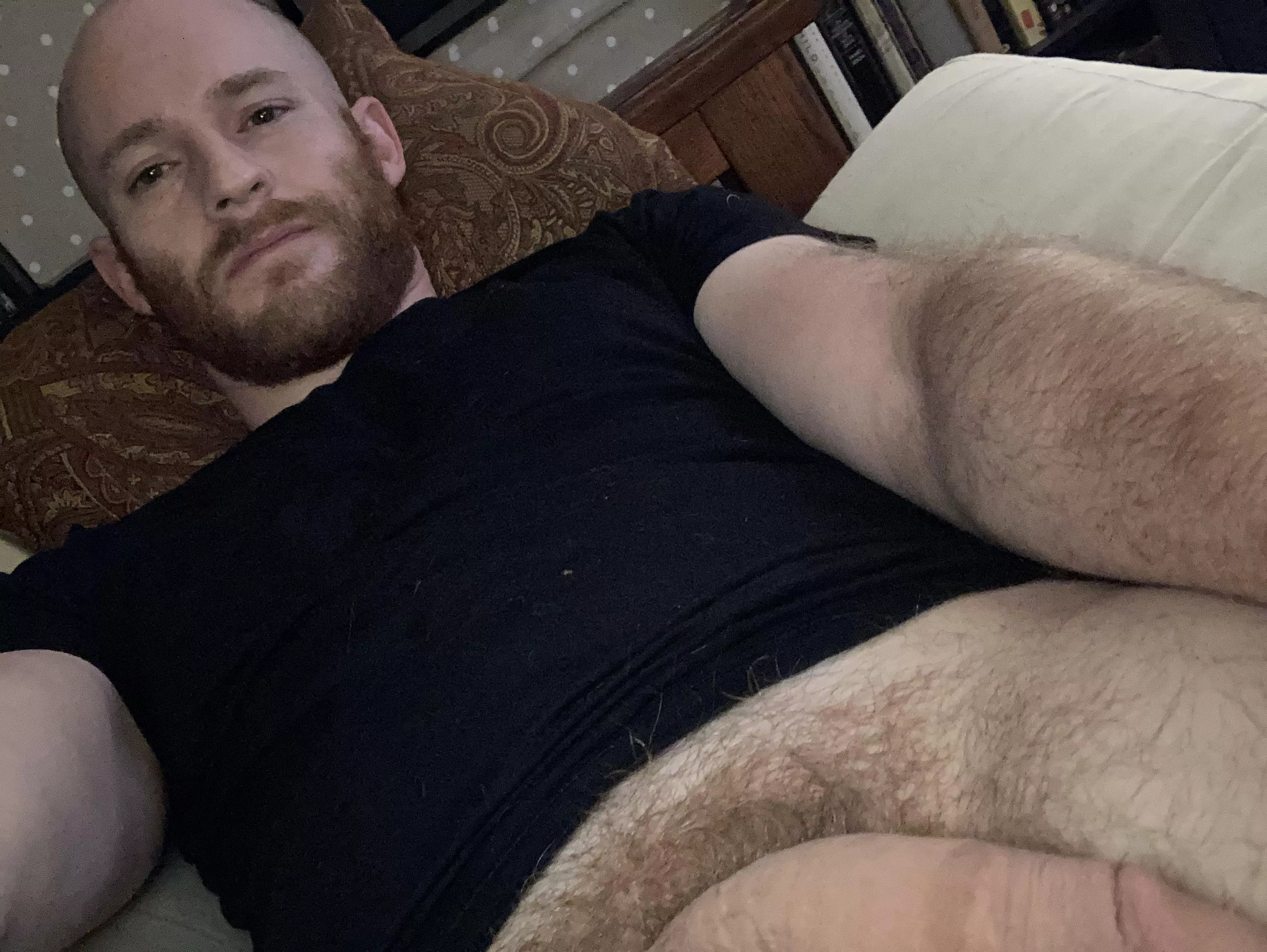 I miss my ginger beard.. posted by Rockyhorror4711