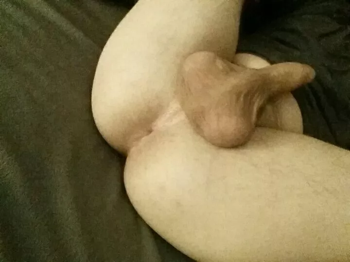 I need a hairy cock to breed me posted by sextingtwink