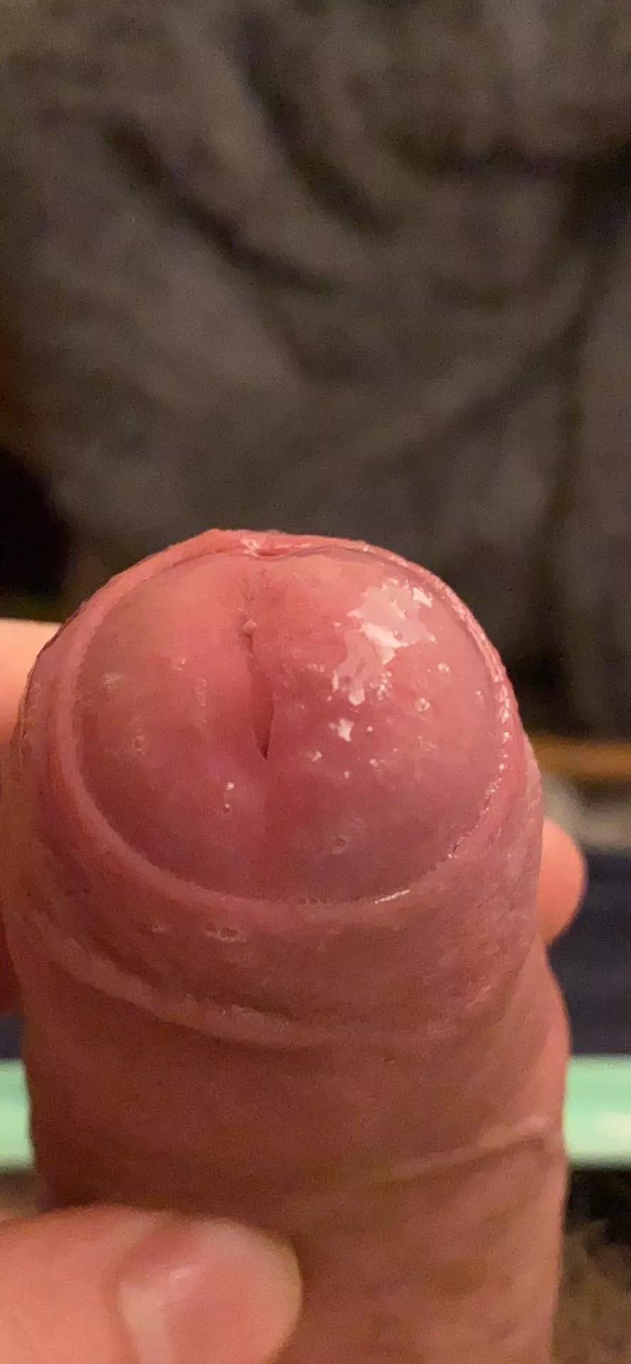 I never need lube! Dm open! posted by kindertentgg