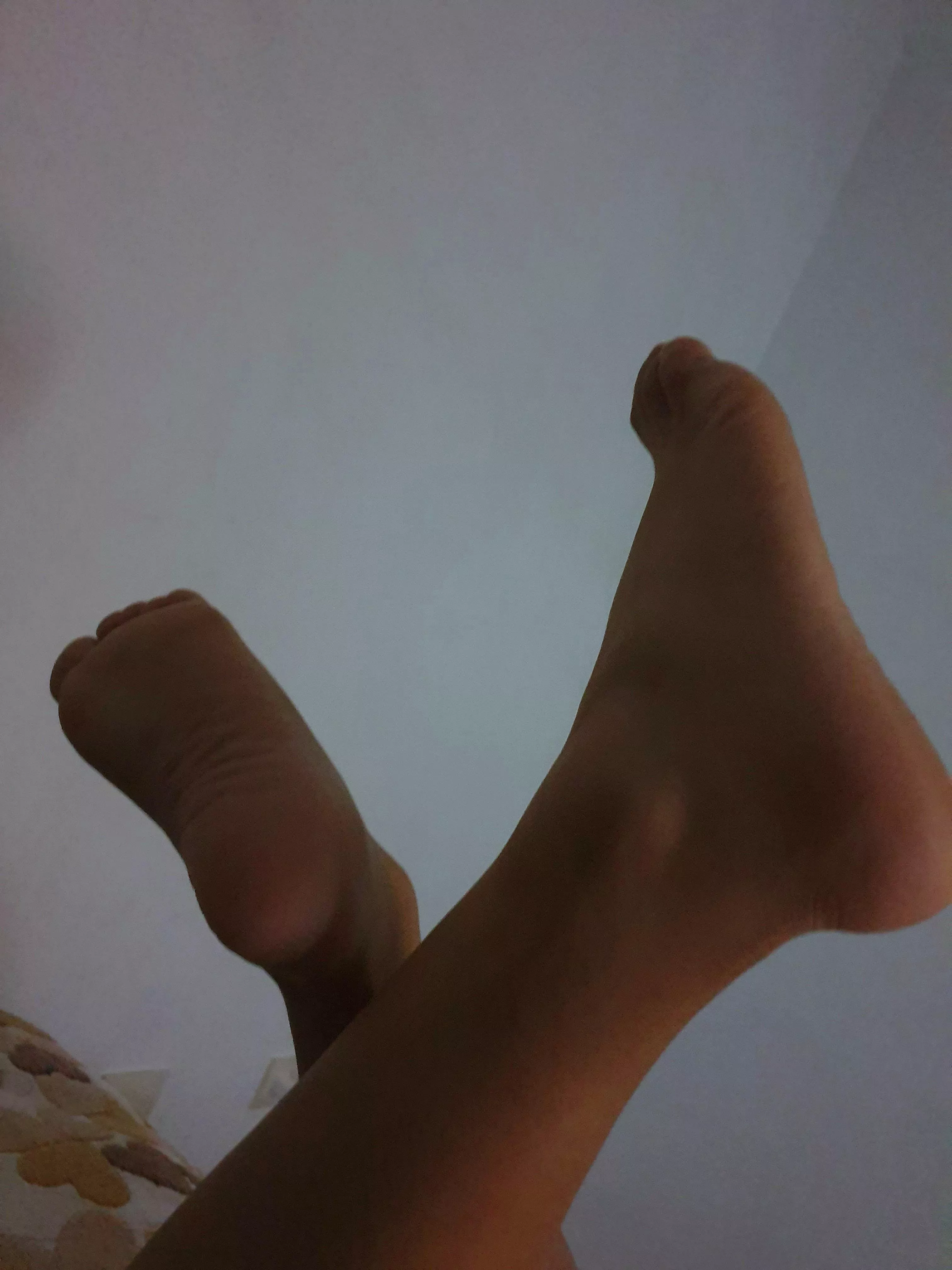 I present to you: my feet! posted by vessareds