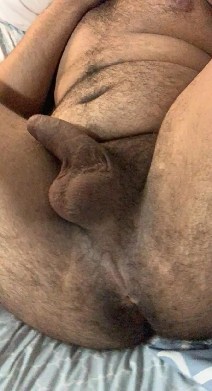 I really need a hairy cock inside me posted by blade3300