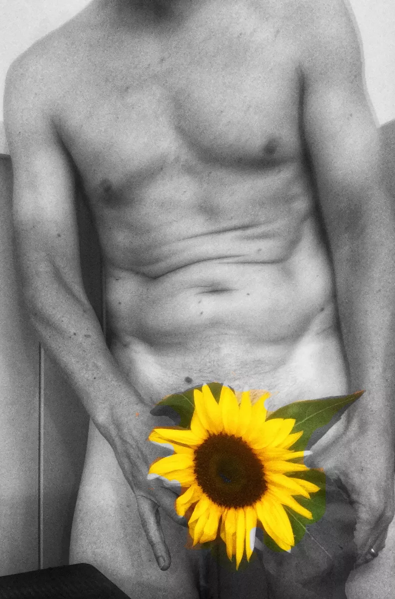 ♫ I send you a flower, a sunflower bright ♫ posted by helloth2020