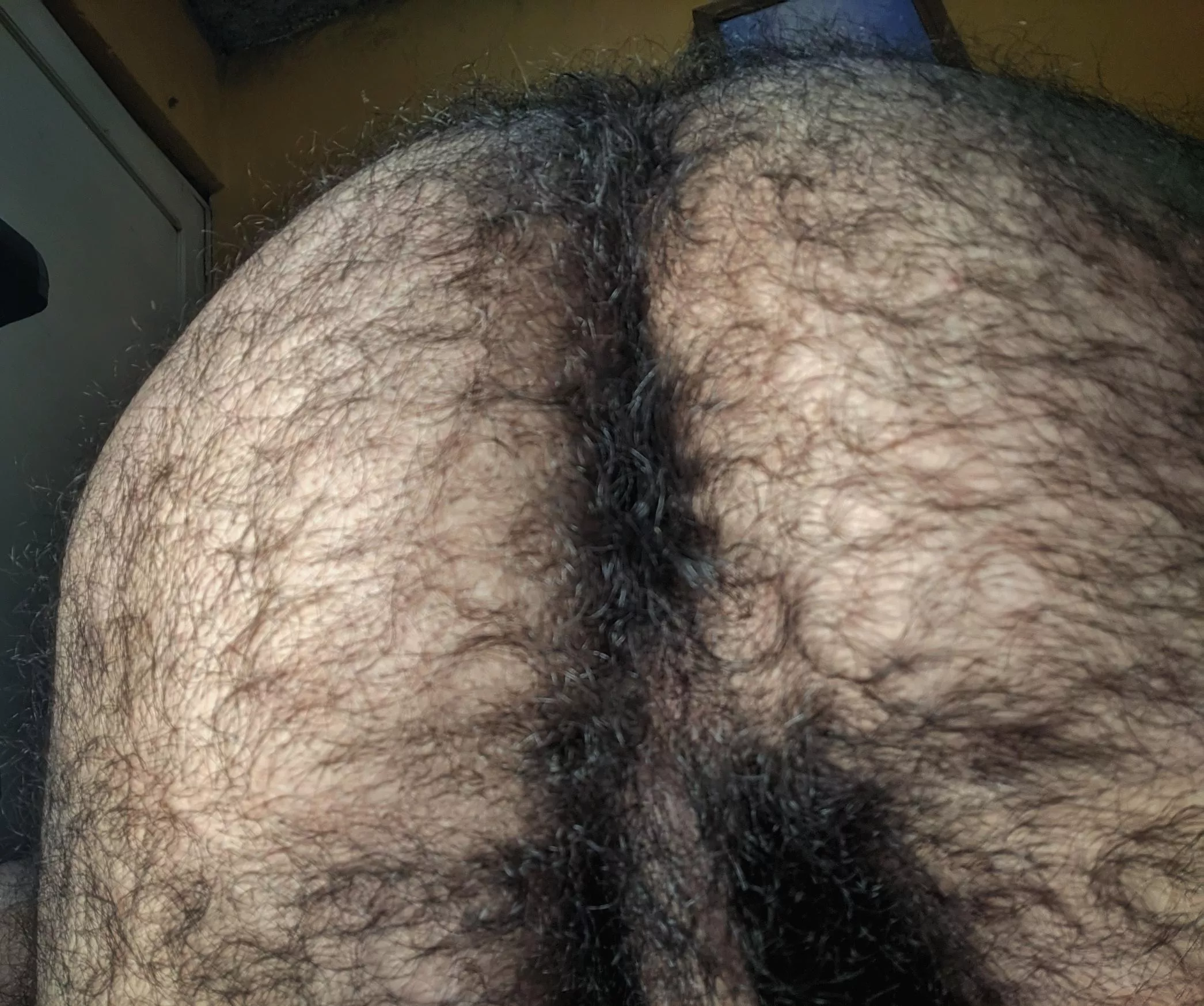 I sometimes forget how hairy my butt really is posted by cocol_hasher