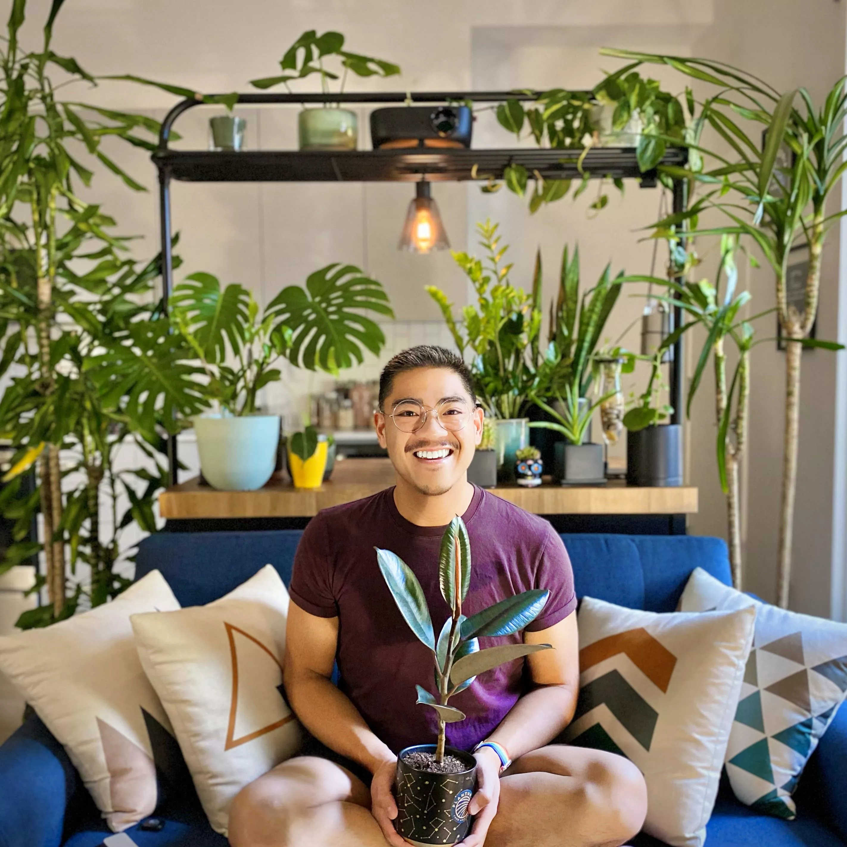 I think I have enough plants in my apartment posted by albuena