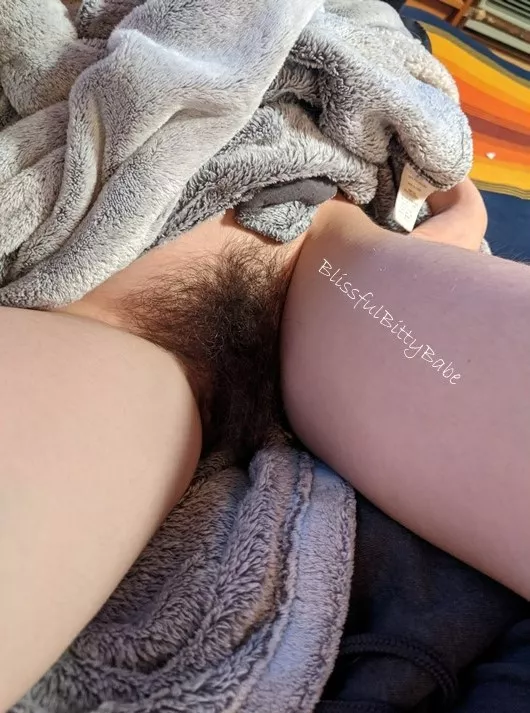 i think my hairy pussy is pretty cute, what do you think?😋 posted by BlissfulBittyBabe