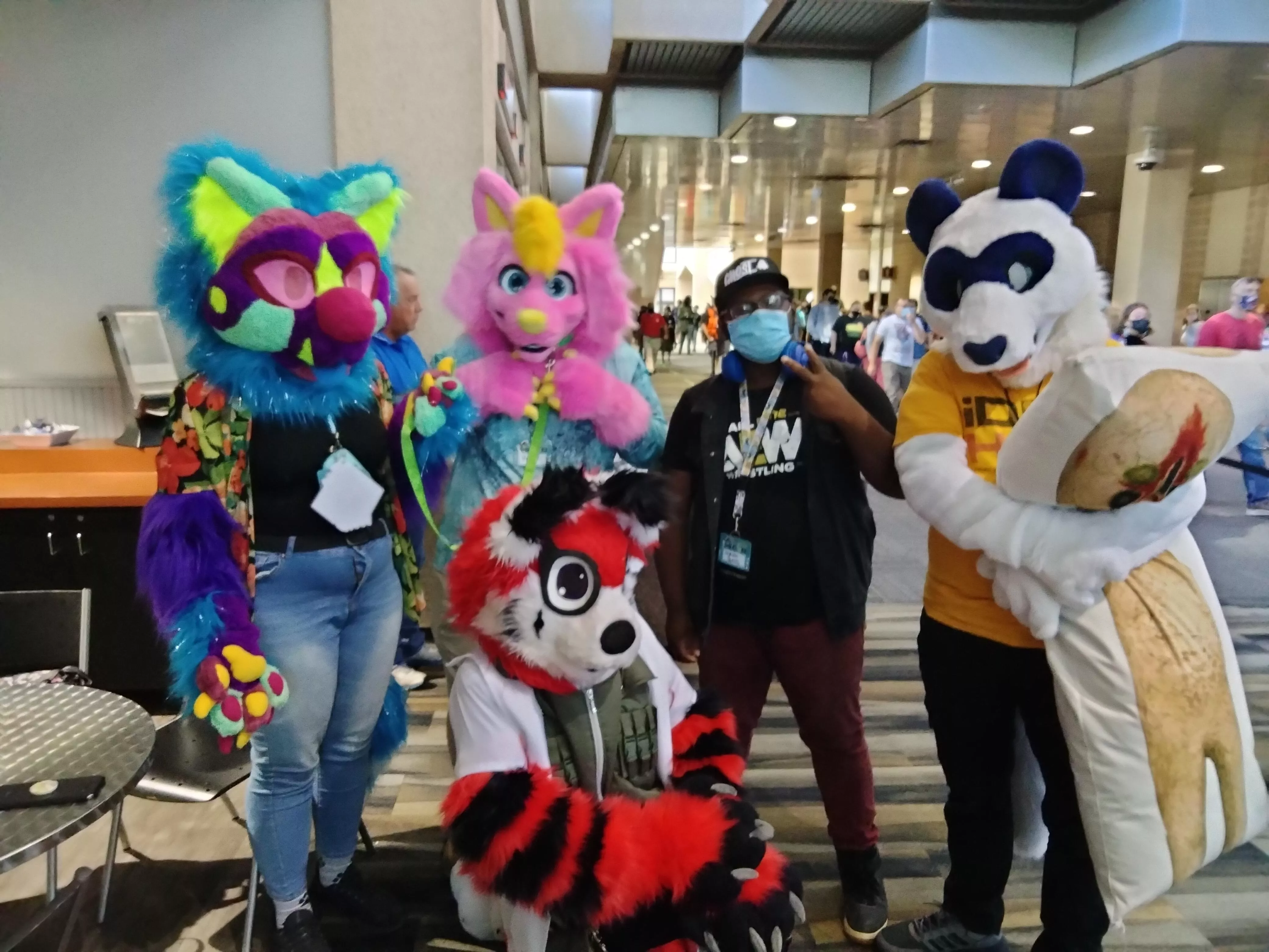 I took this while I was in Jacksonville at WasabiCon and its one of my favorite fursuit-related pictures I have. I never got their names except one of them. posted by zynleficent