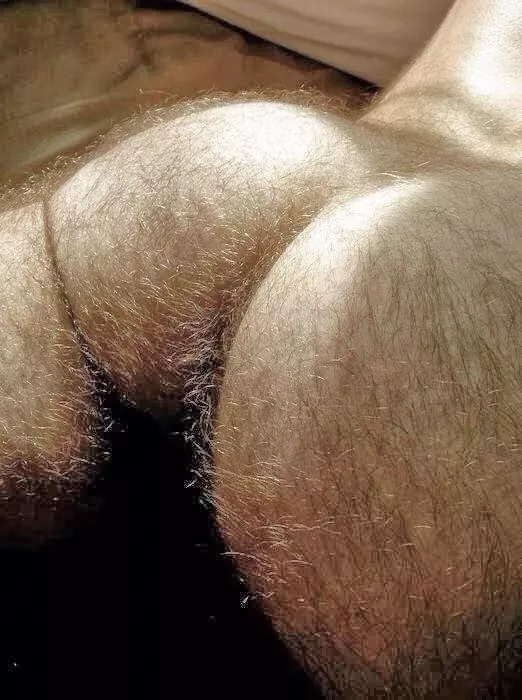 I want to spread his cheeks open and tongue fuck his hairy hole. posted by rwg11