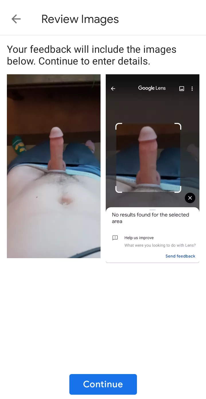 I was curious. The answer is no, google lens does not recognize a penis. posted by whereditg0