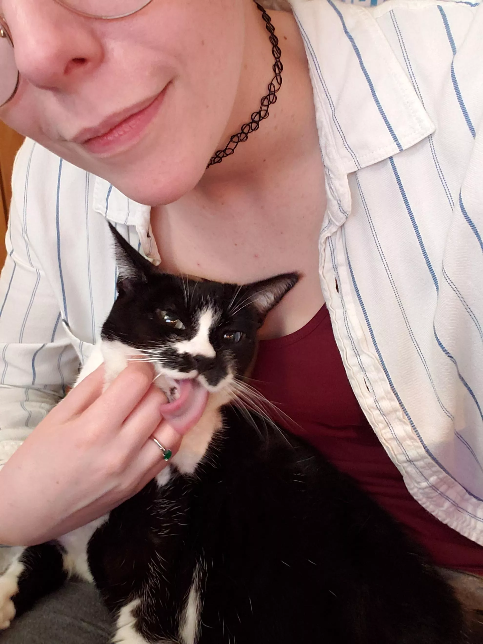 I was just trying to get a nice picture with my cat, omg. posted by streetweeb