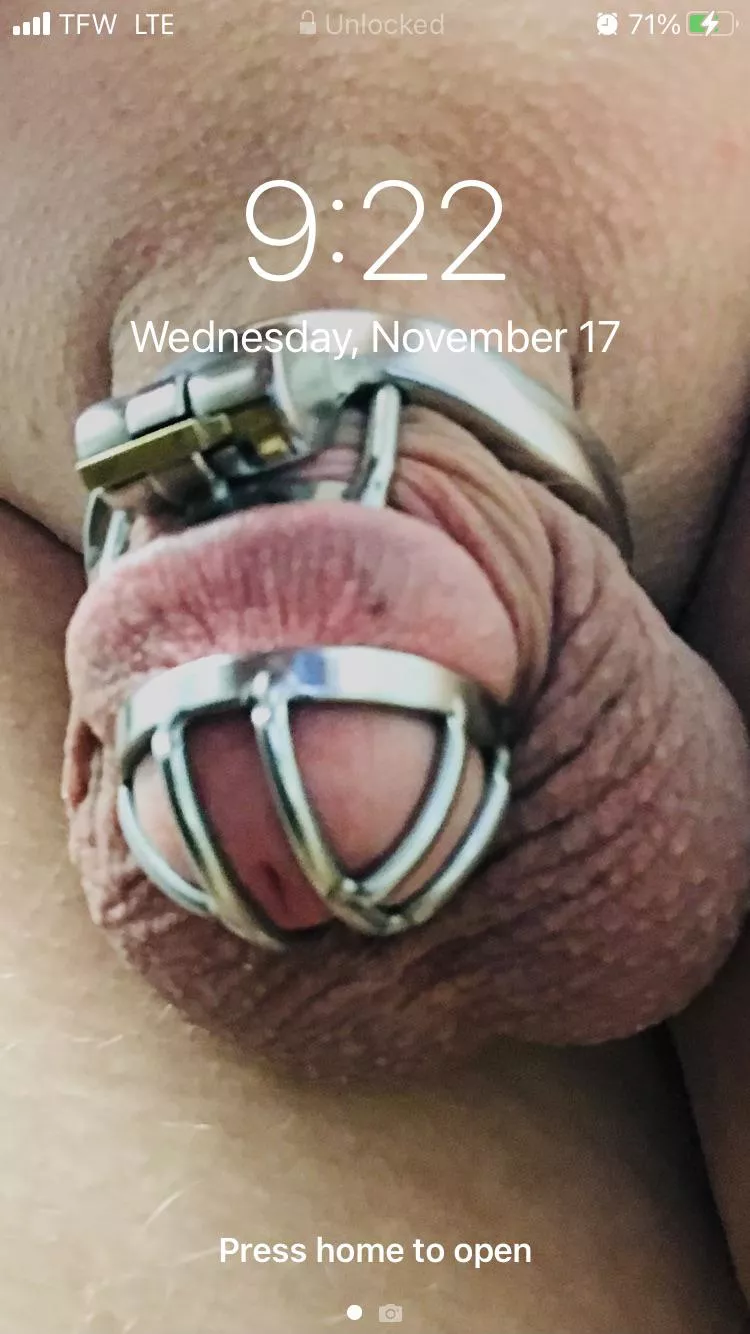 I was told to keep this as my Lock Screen until my chastity sentence ends. 😳 posted by Sissyfag423