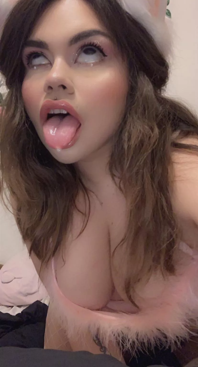 I’d beg for your cum like a good kitten should posted by mollyzedolly