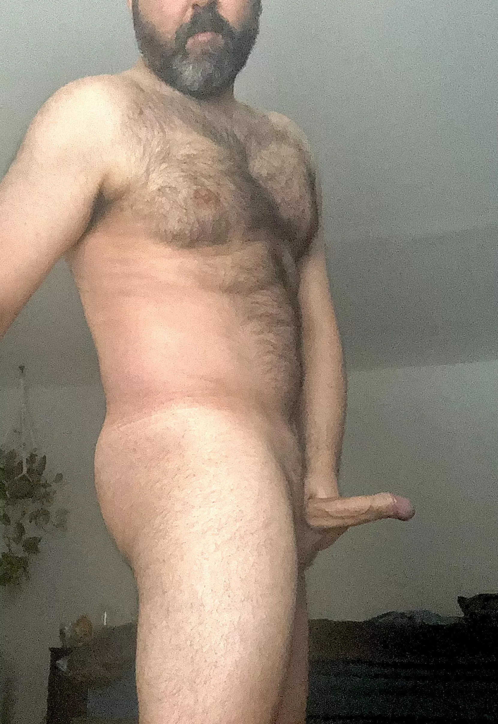 If you like thick hairy chests and a big thick cock, perhaps it time that you and I talk. posted by NorthGamer80