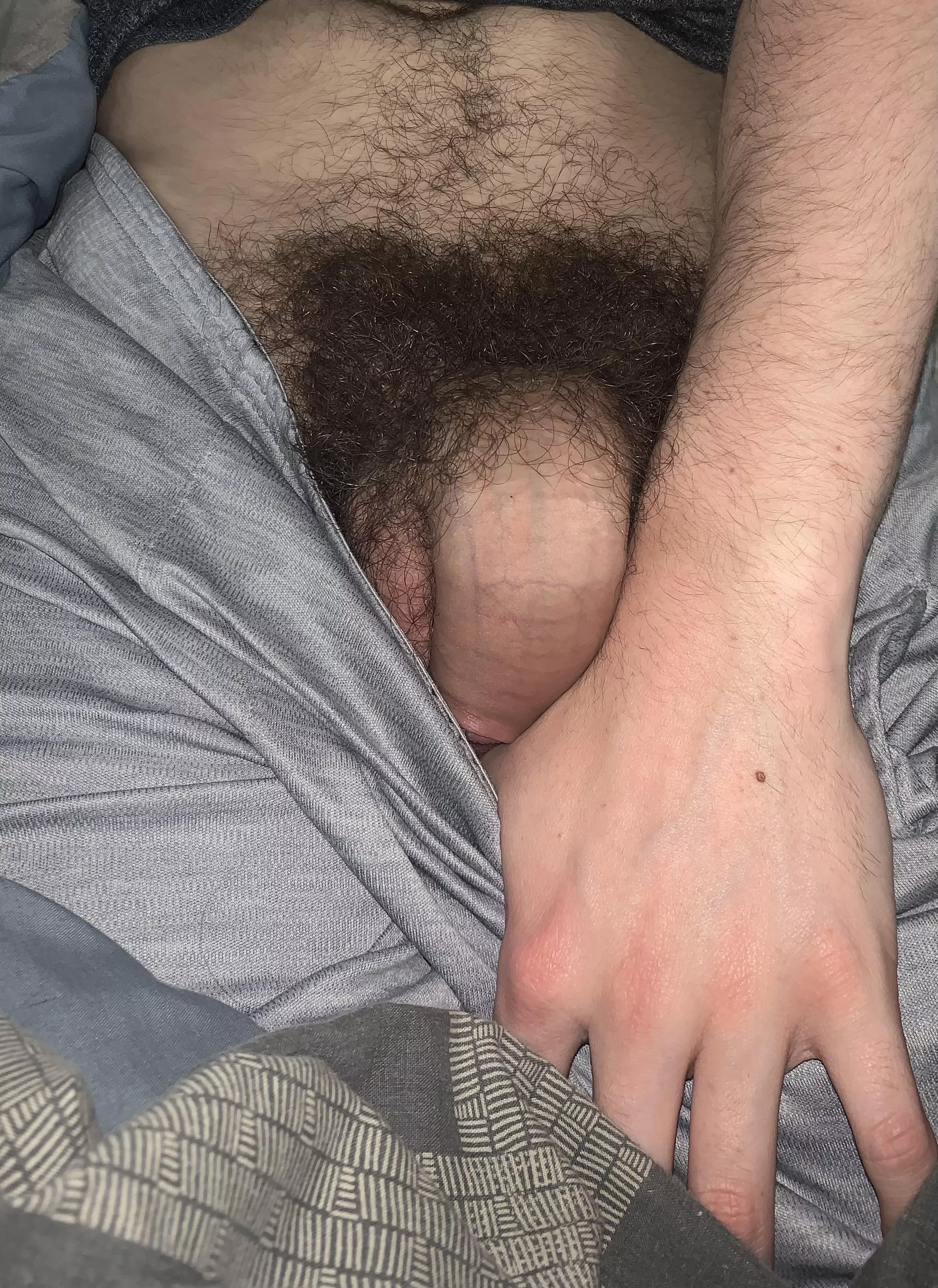 If you’re into hairy cock🤷‍♂️ posted by Short_Oil