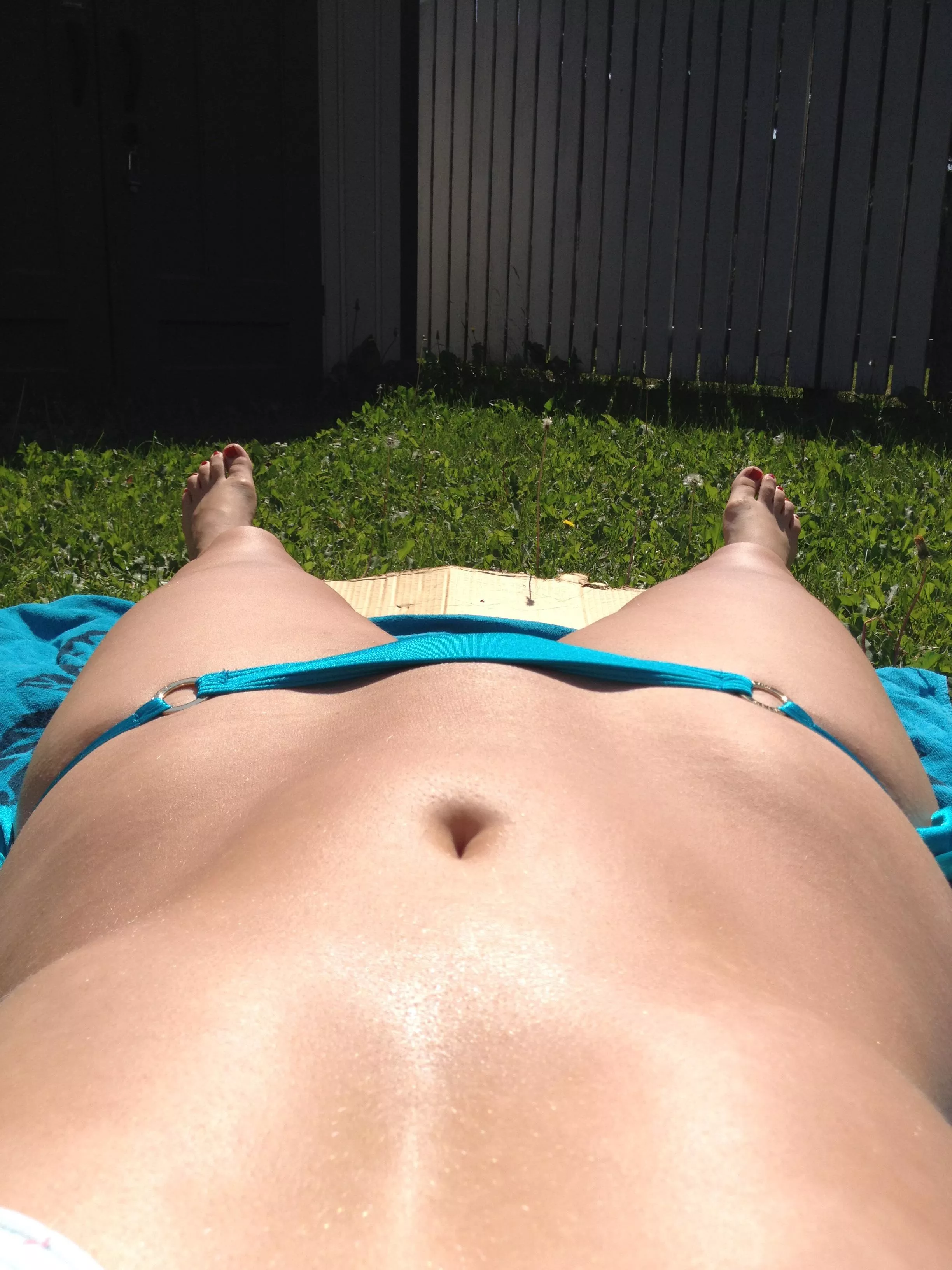 Iâ€™ll miss bikini season. I have a [F]eeling my neighbors will too. posted by Toosexyforhim