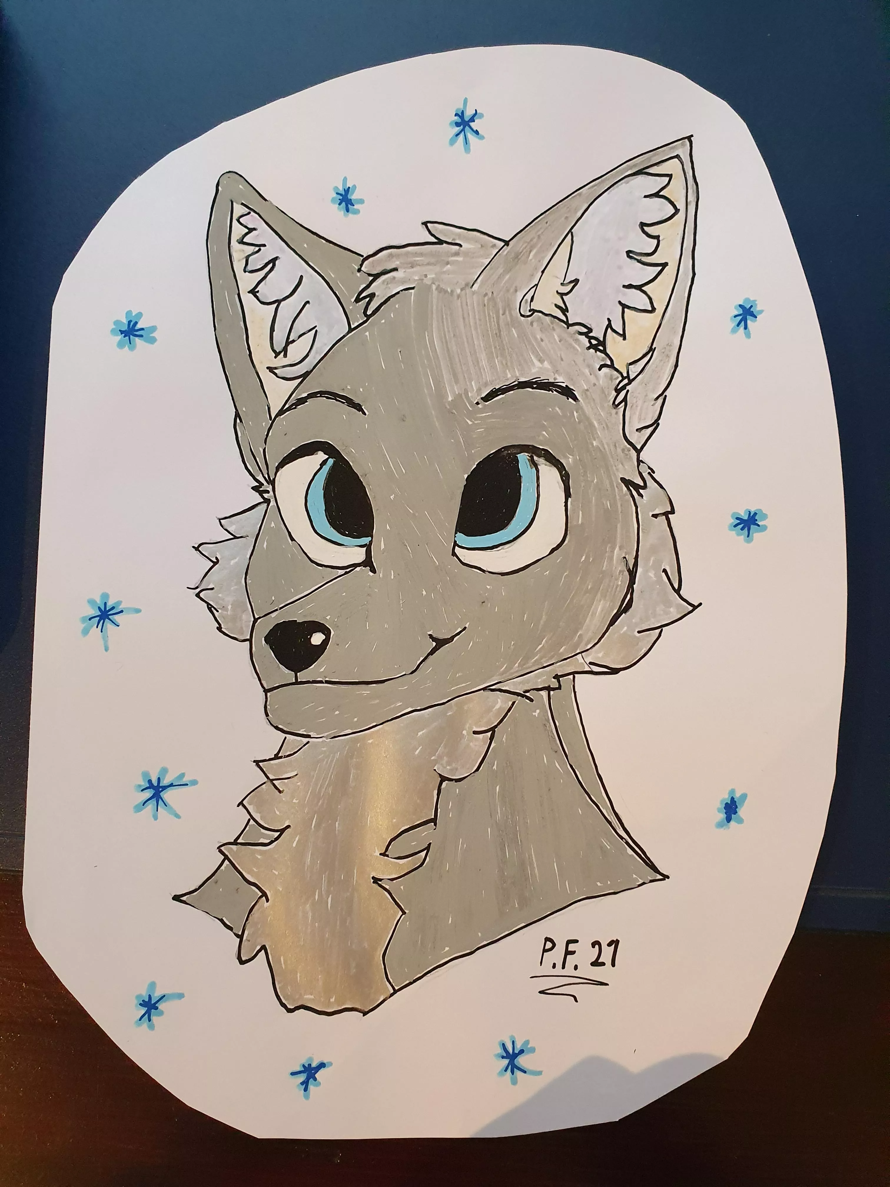 I'm a beginner, drew a furry. Would you boop? posted by A858A