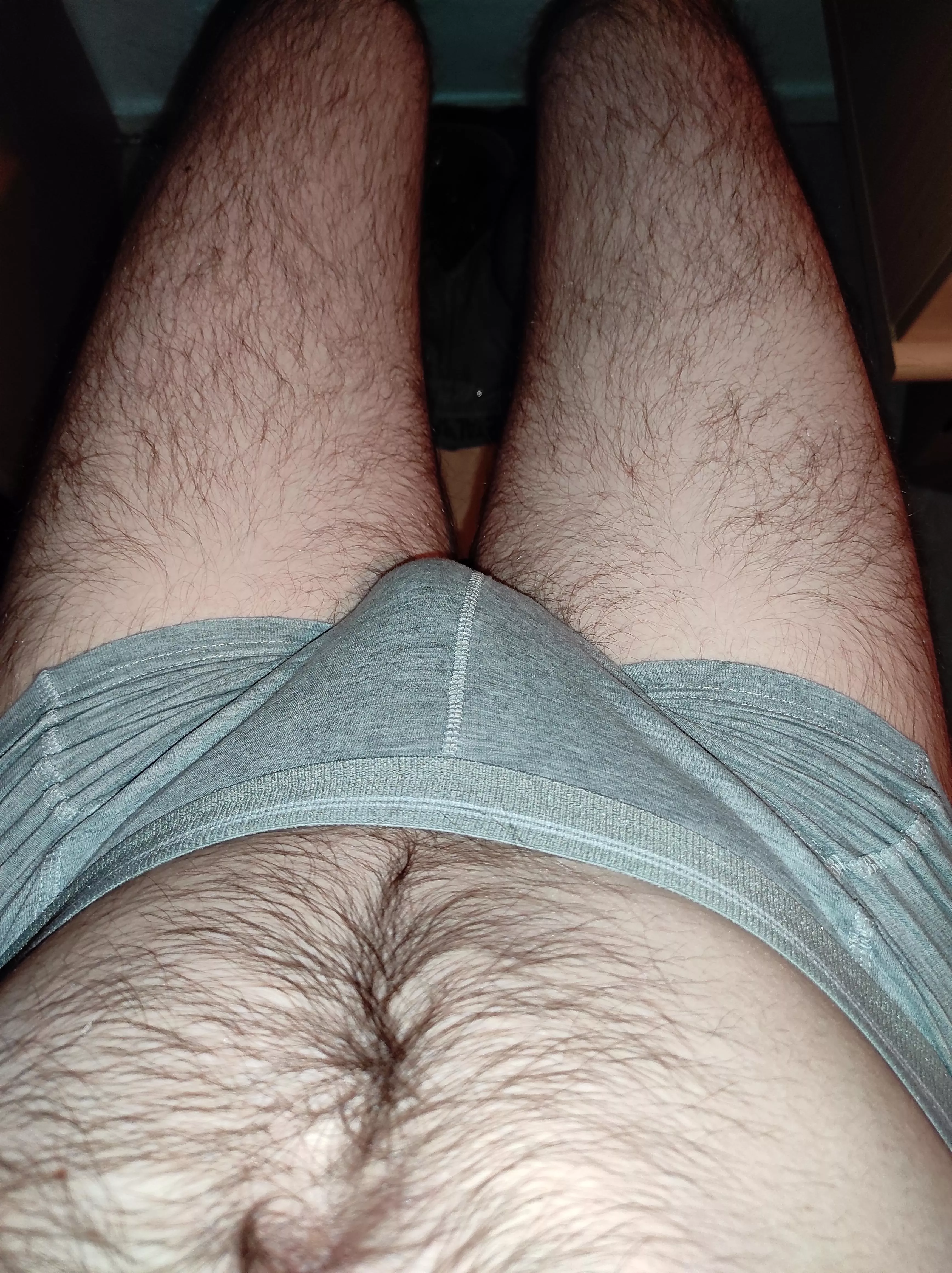 I'm feeling pretty lonely, care to keep a hairy guy like me company? posted by TheMoonSwimmer