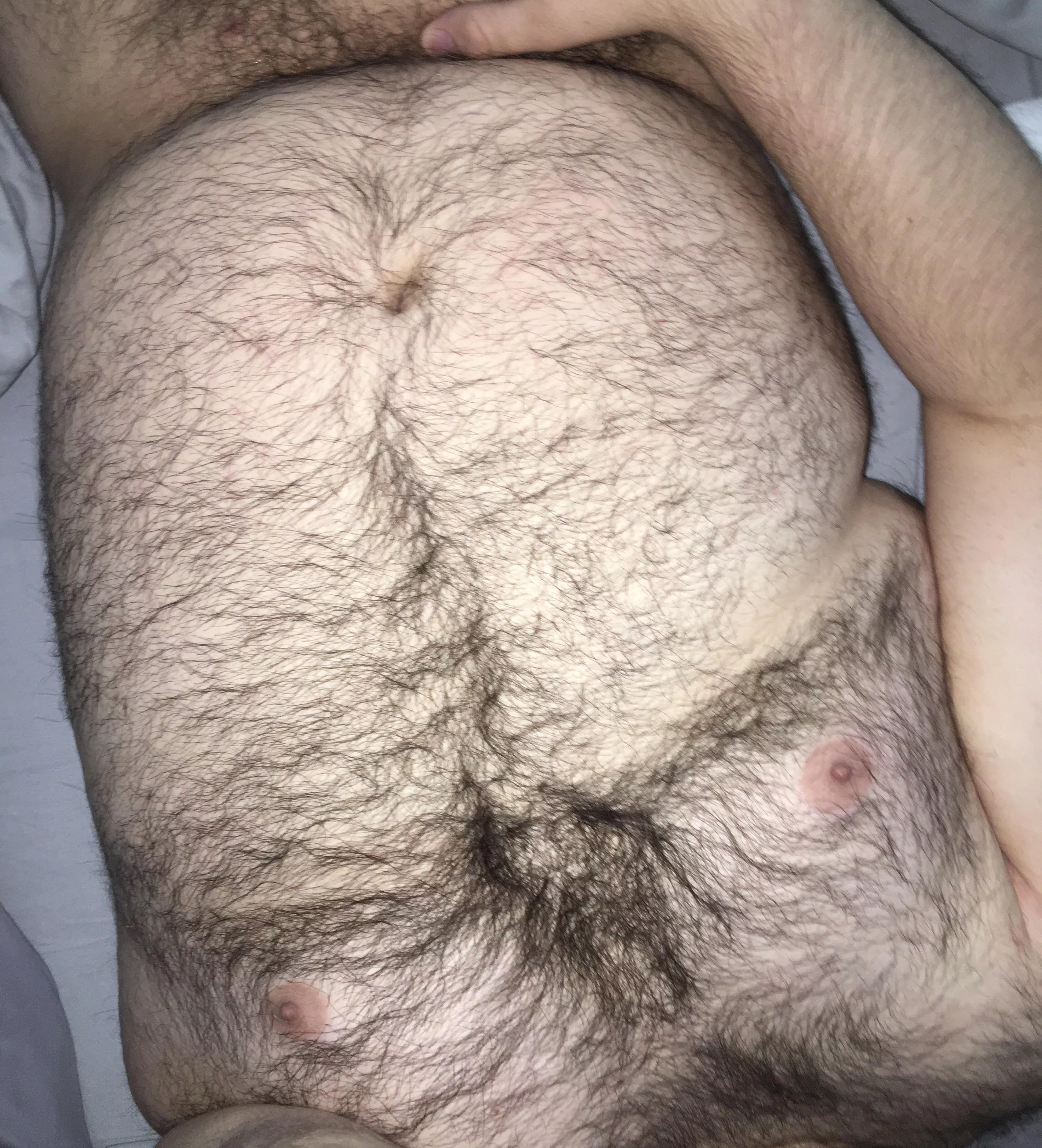 I’m hairy all over, hope y’all like! posted by 7throwawaynsfw7