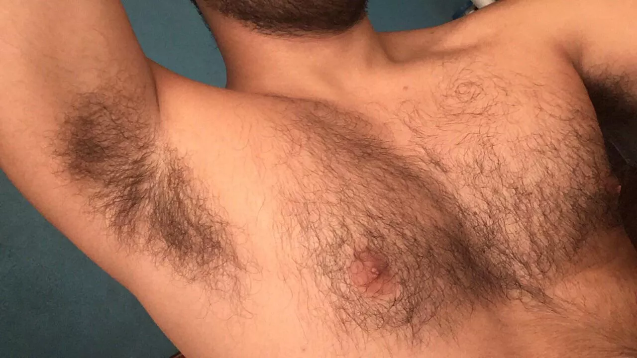 I’m letting my chest hair grow, do you like it? posted by Useful-Resolution-93