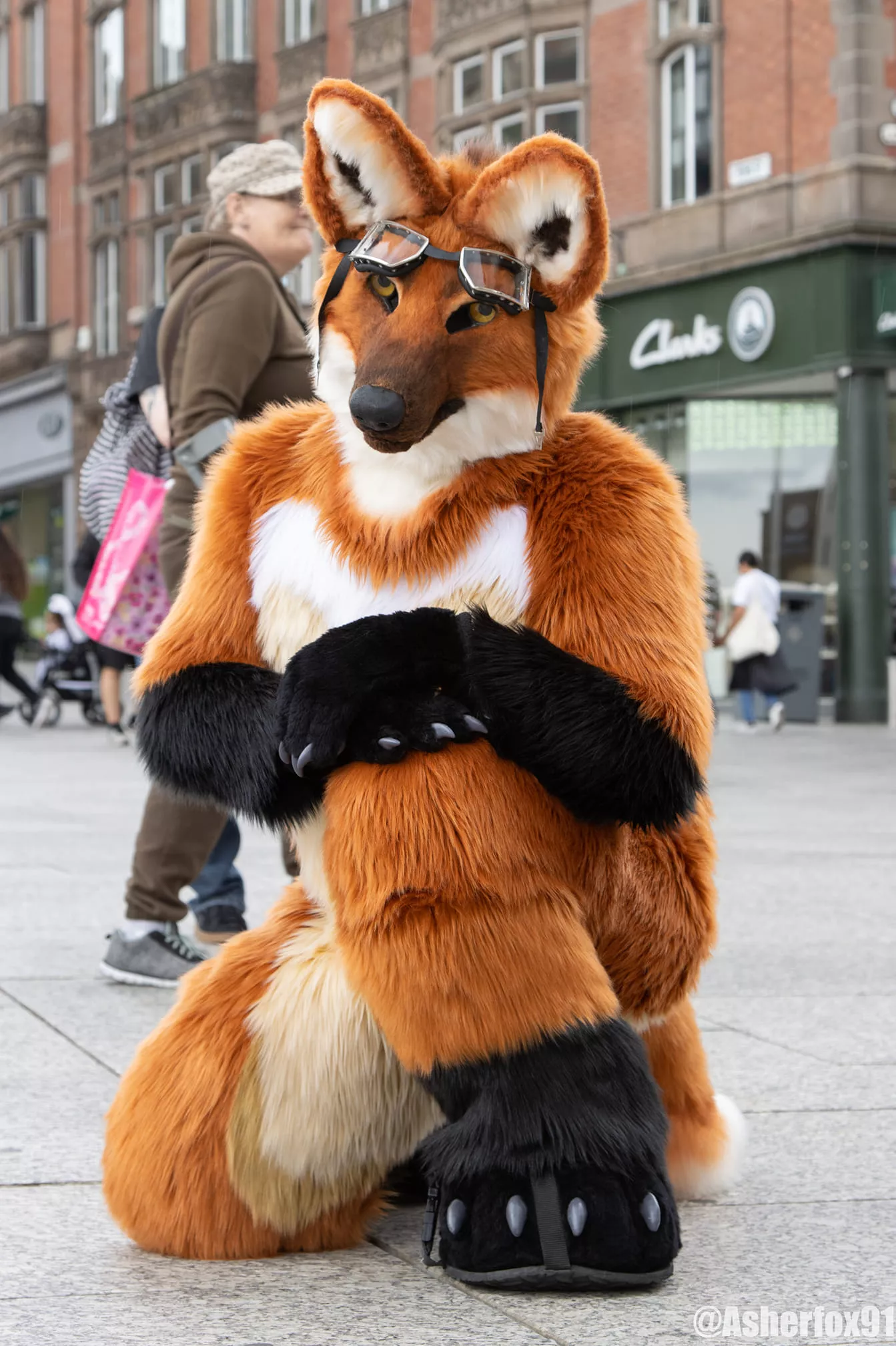 I'm Rufe the Maned Wolf and this is one of my favourite photos so far! Credit to @asherfox91 posted by RufeMwf