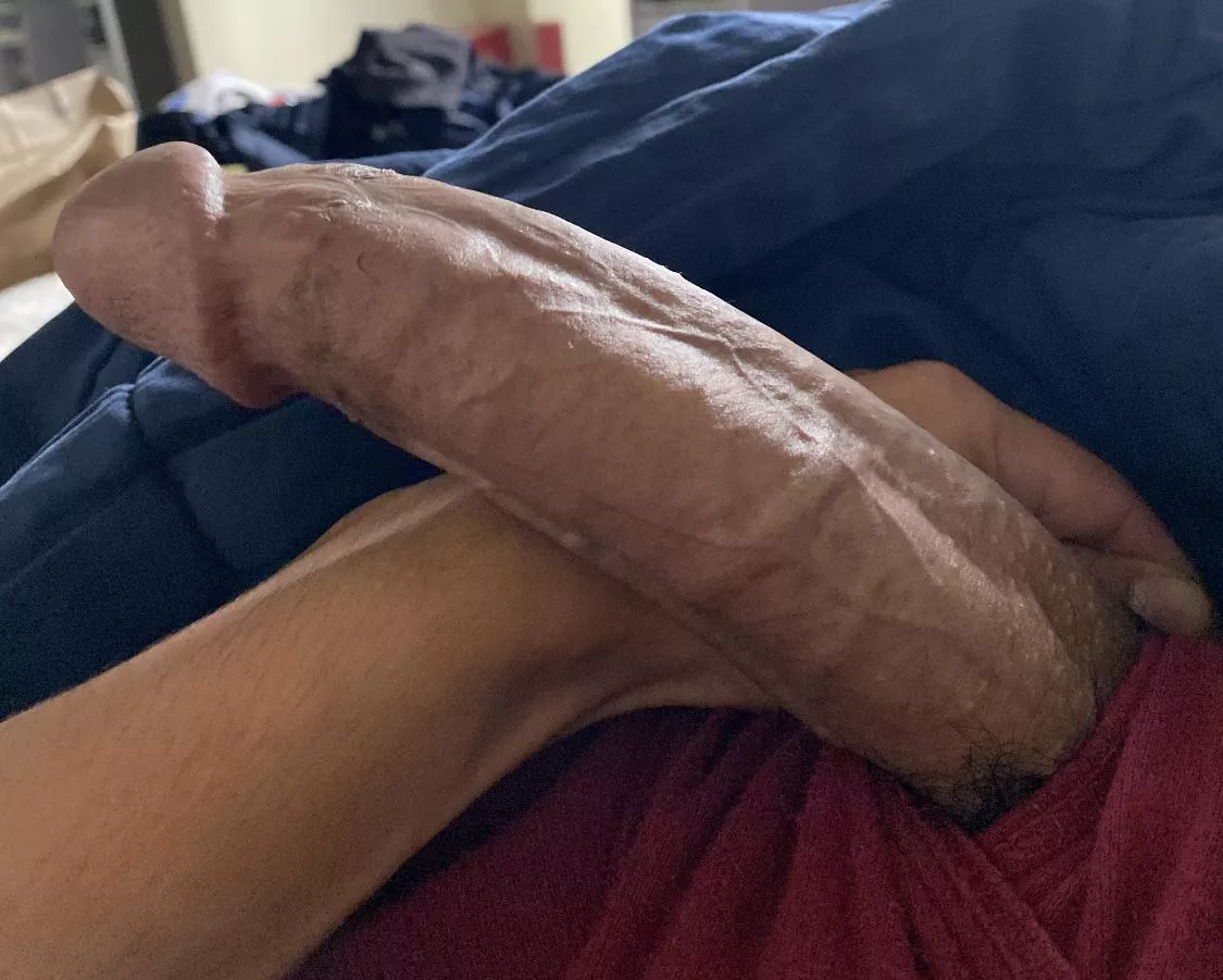 Iâ€™m straight.. but I want to know how many of you would actually suck my cock ? posted by SnooMuffins1882