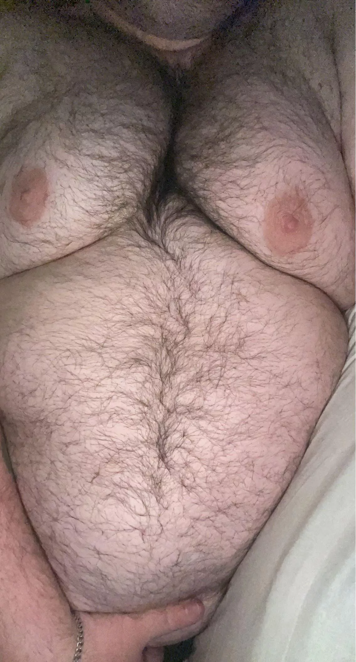 In bed last night. No cock pissing or face between these tits.. 27 M • DMs open • Kinky ✅ posted by chubthro