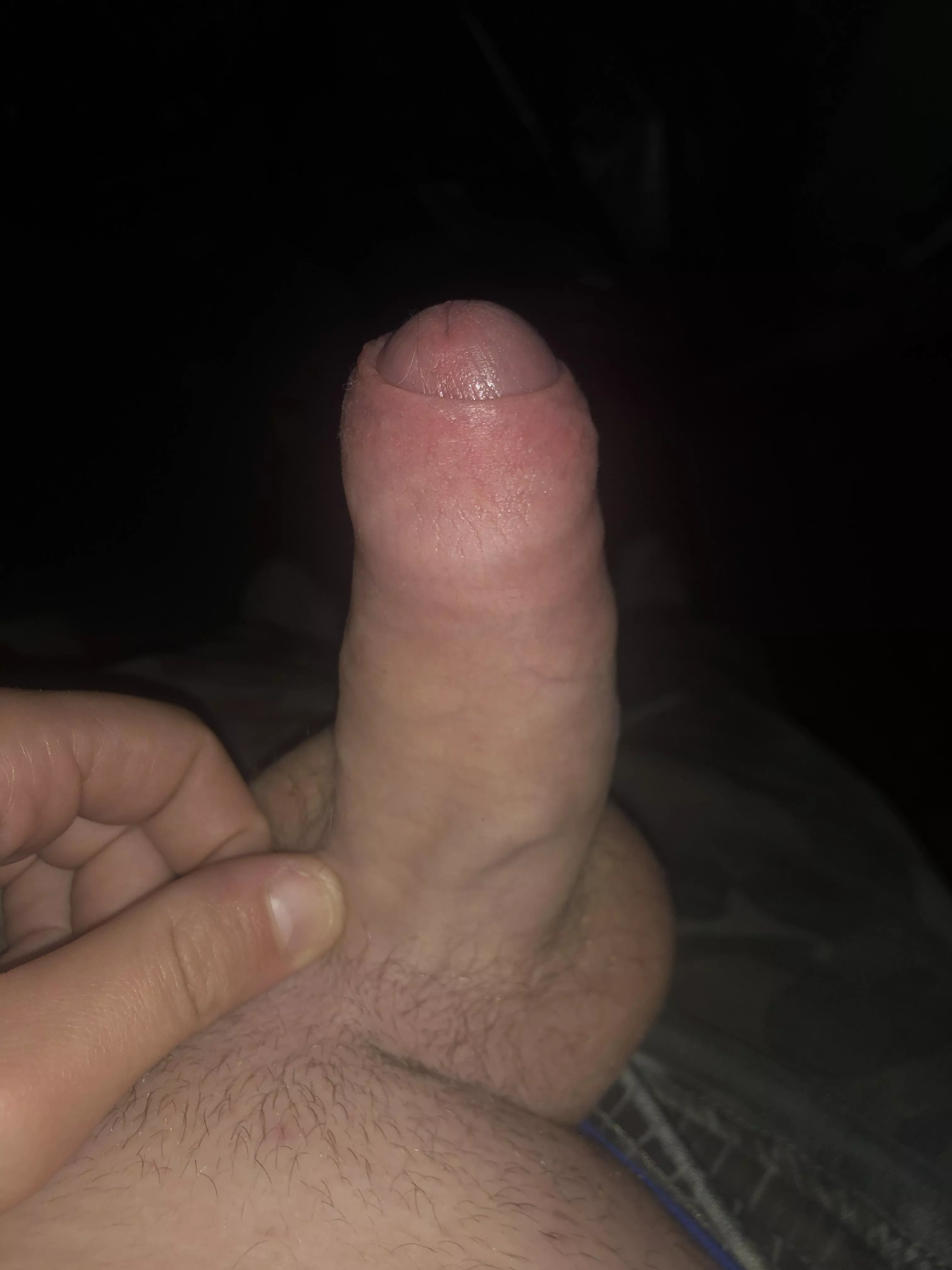 In my yard rate my dick 1/10 posted by Puzzleheaded-Cover52