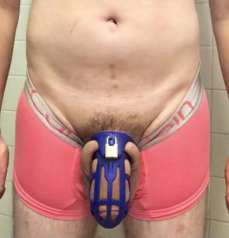 In pink undies and big blue cage posted by WayTooThick