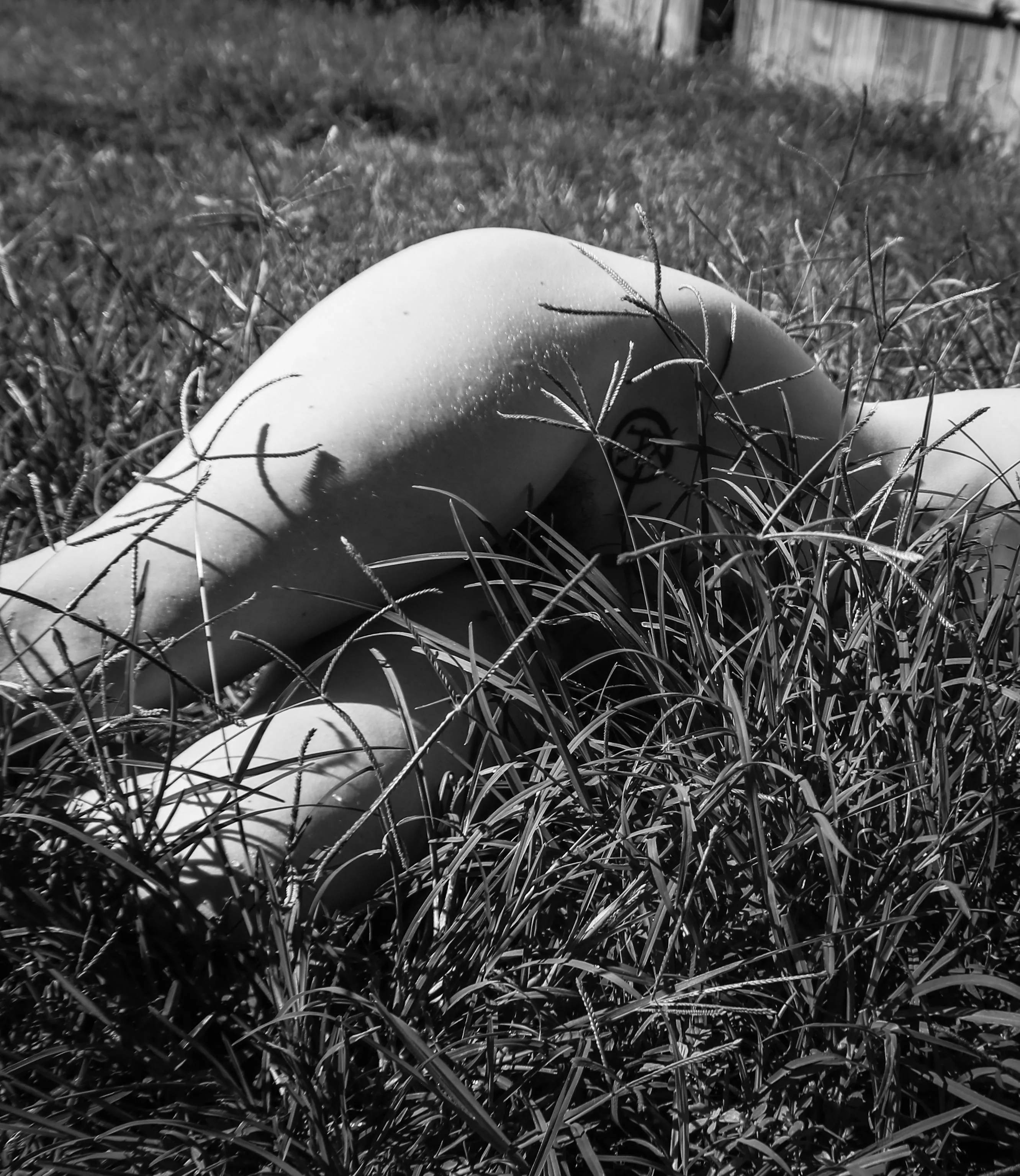 in the tall grass (self shot) posted by _creature_feature