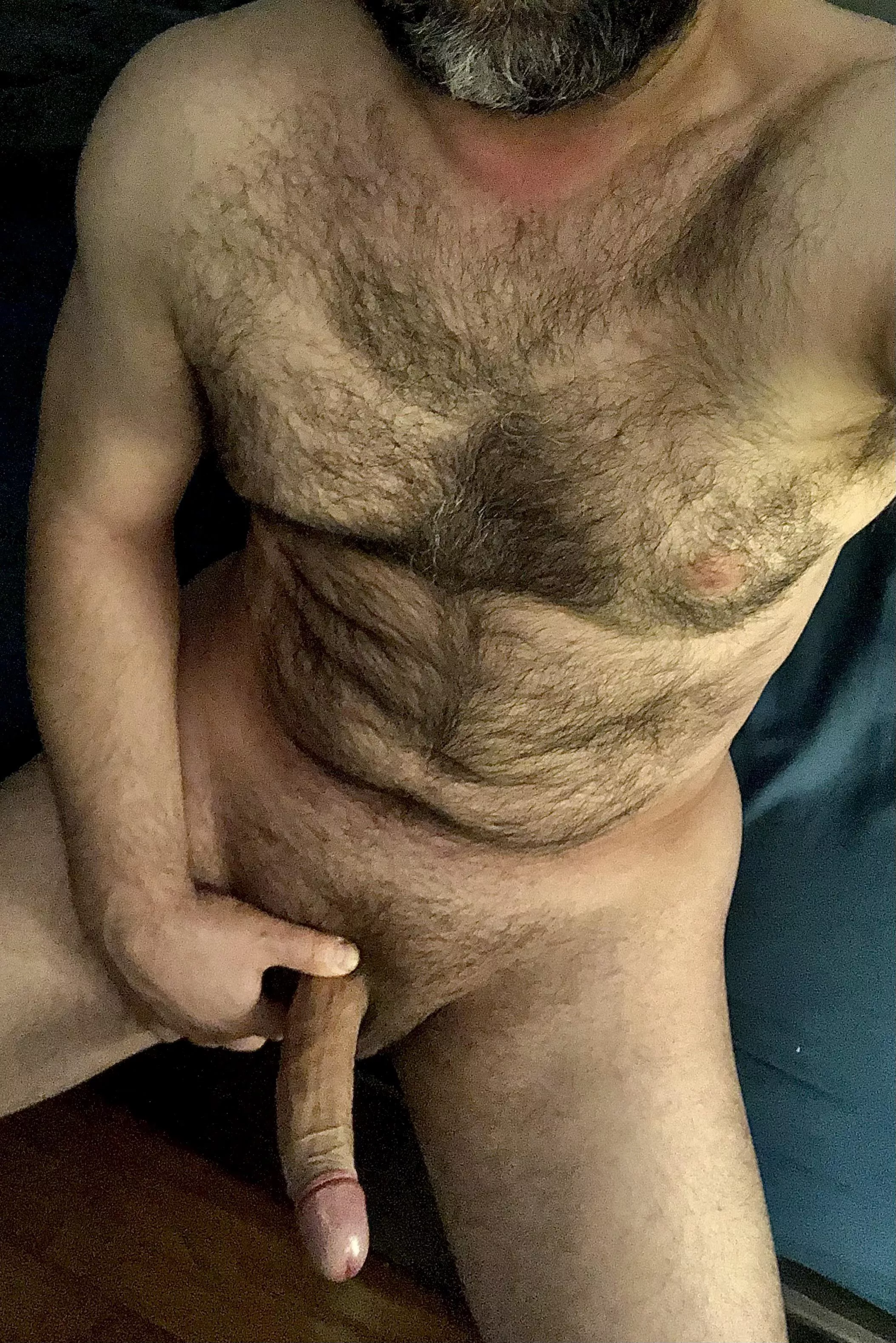 Insanely hairy and a little bit thick, so why don’t you stroke my fur while you’re riding my dick. posted by NorthGamer80