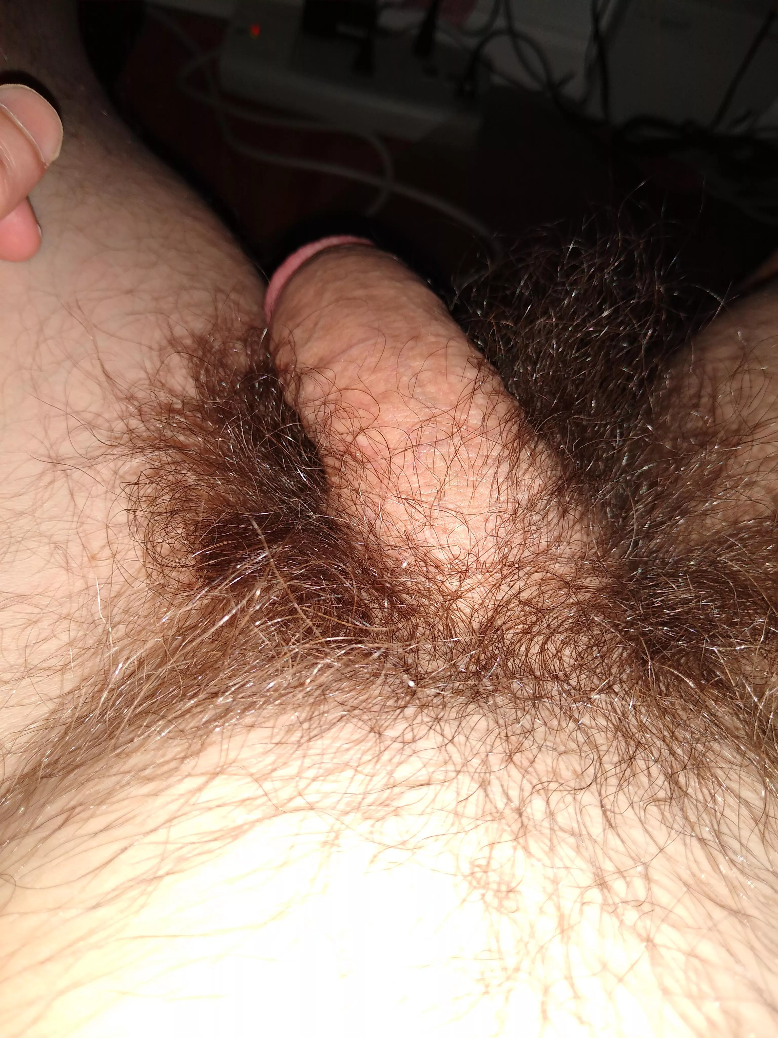 Is it hairy enough for you? posted by Southga1993