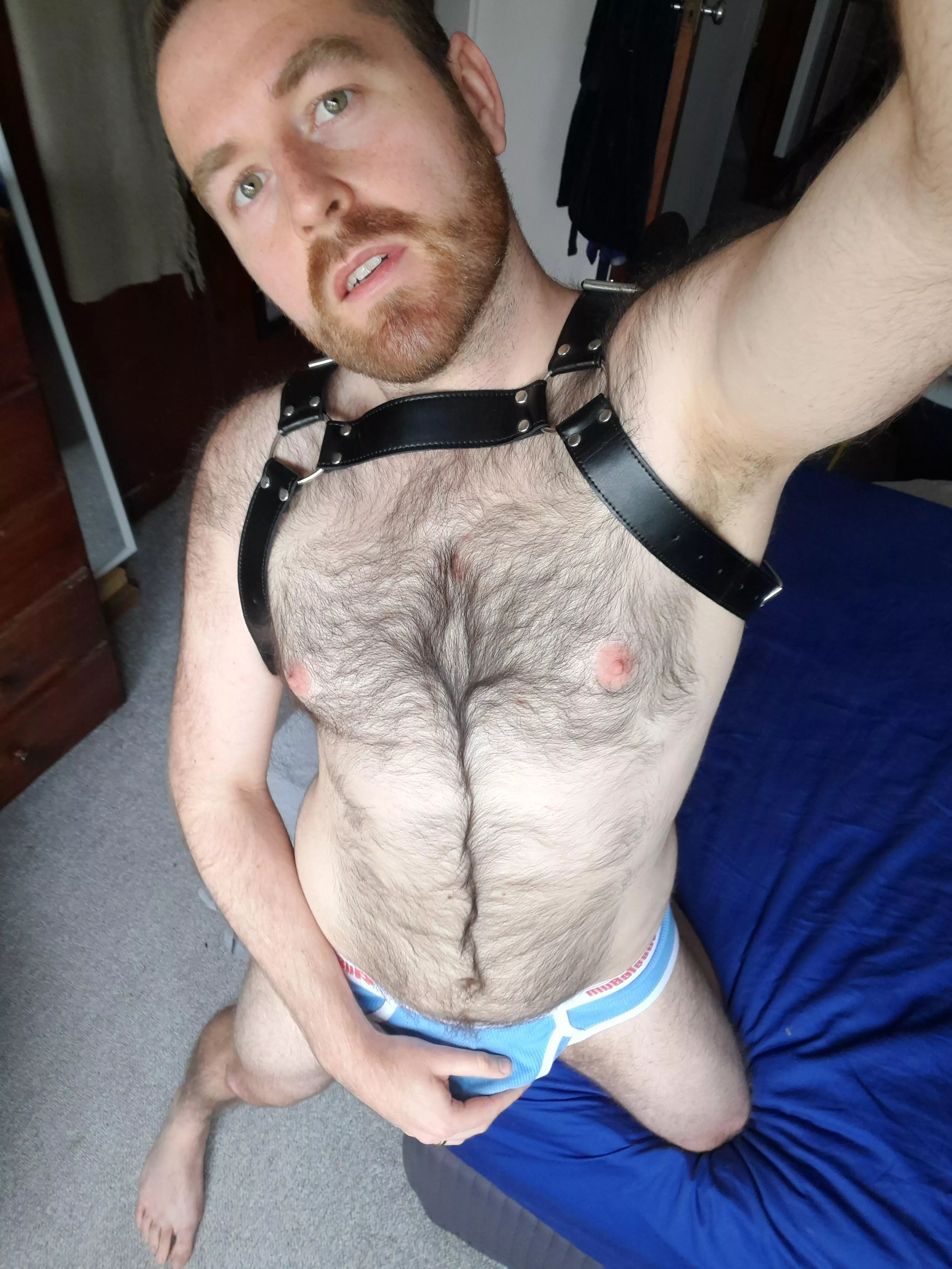 Is it wrong to put a leash on your bear? 🤨 posted by DungeonMaster630