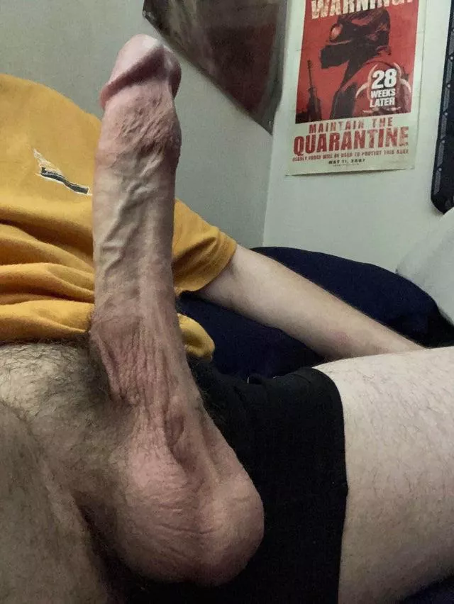 Is my cock aesthetically pleasing? 😬 posted by JLinx7