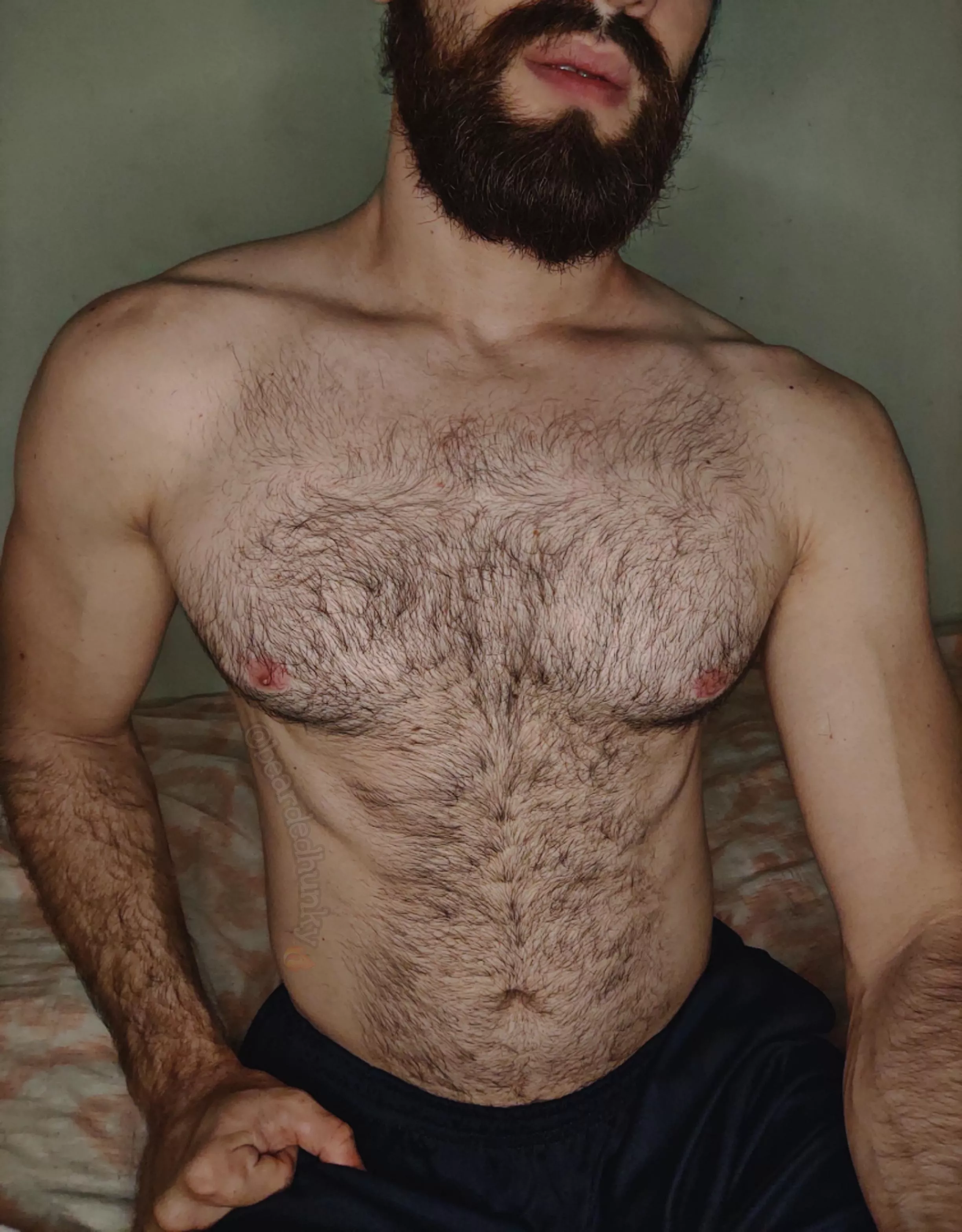 Is this enough chesthair? ;) posted by Bearded_Hunky