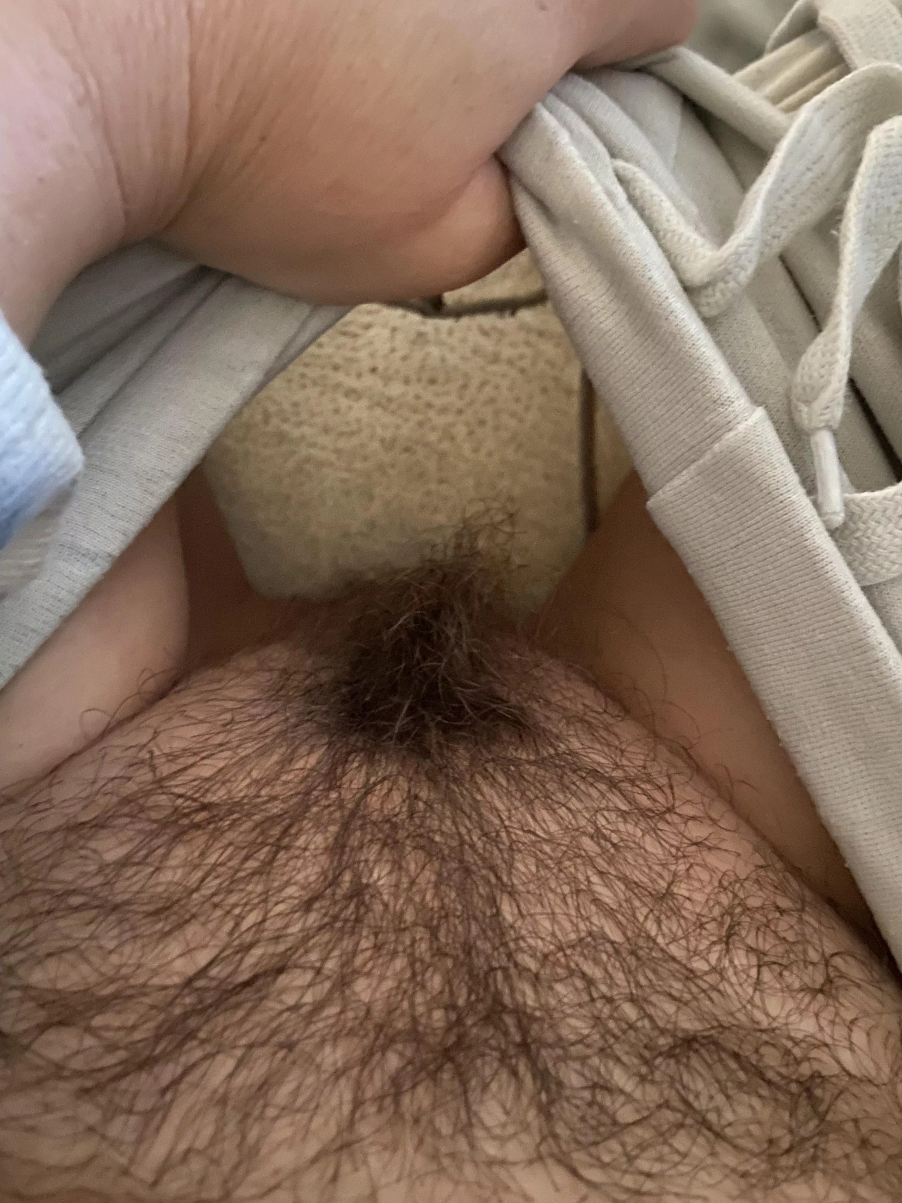 Is this hairy enough posted by Mses1983