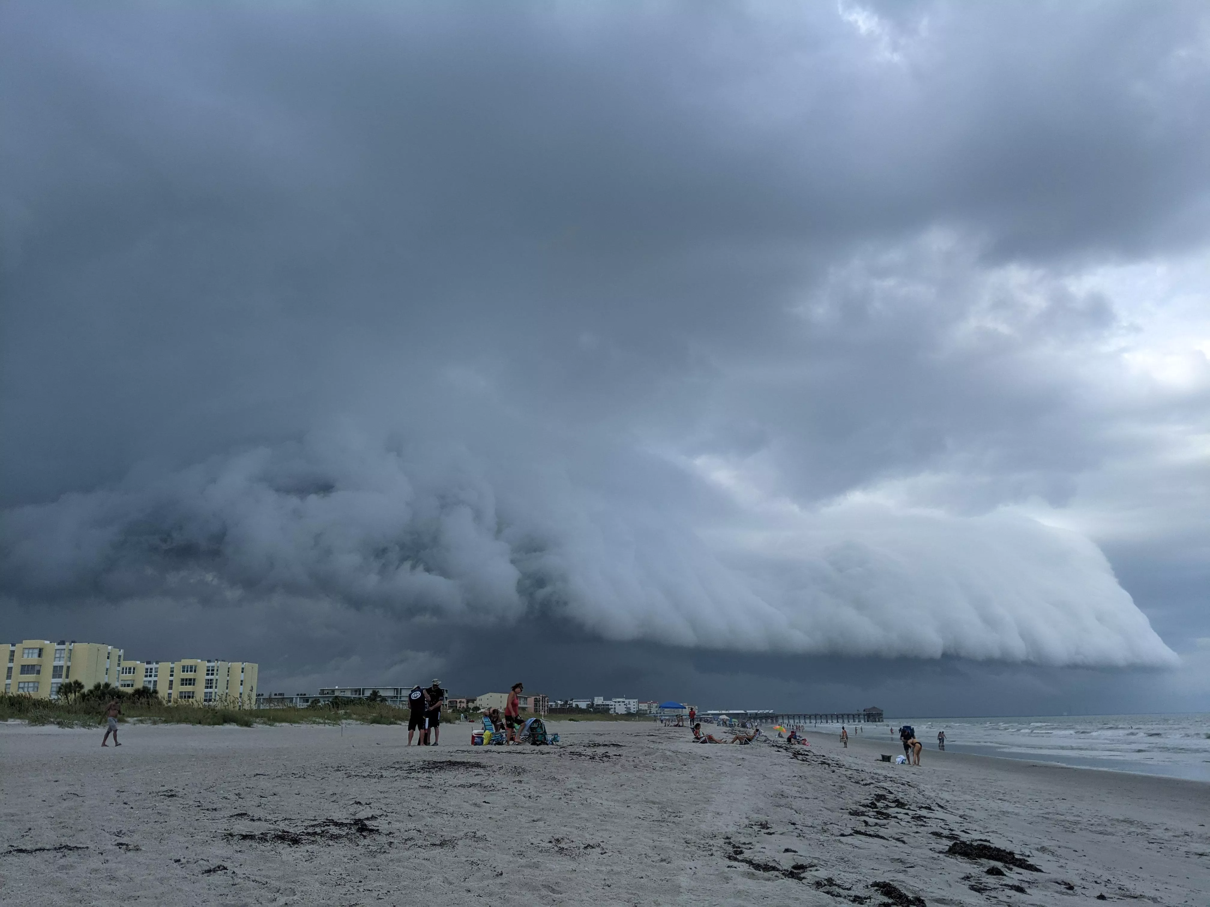 It was like watching the rhino scene in James and the Giant Peach. Cocoa Beach, FL posted by foo_bar_wug