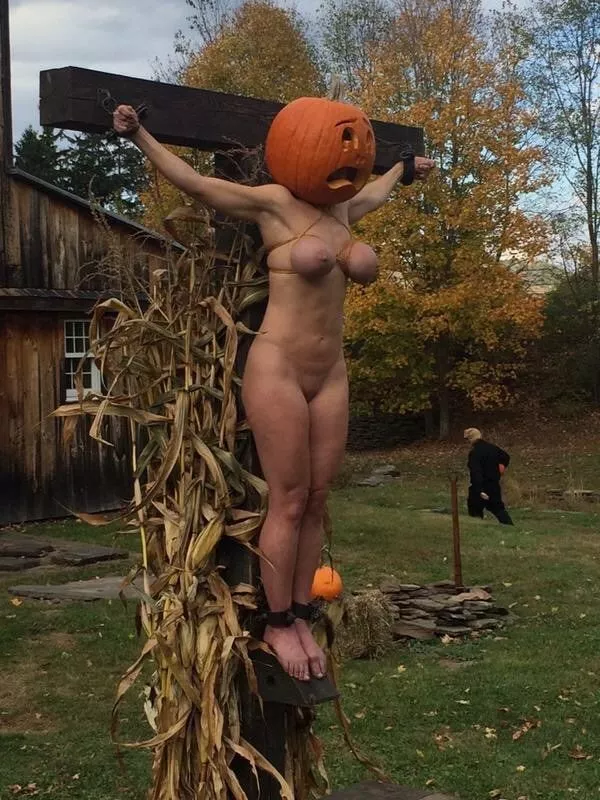 It's almost Halloween and my neighbour is getting in the mood! posted by footloosegiant1983