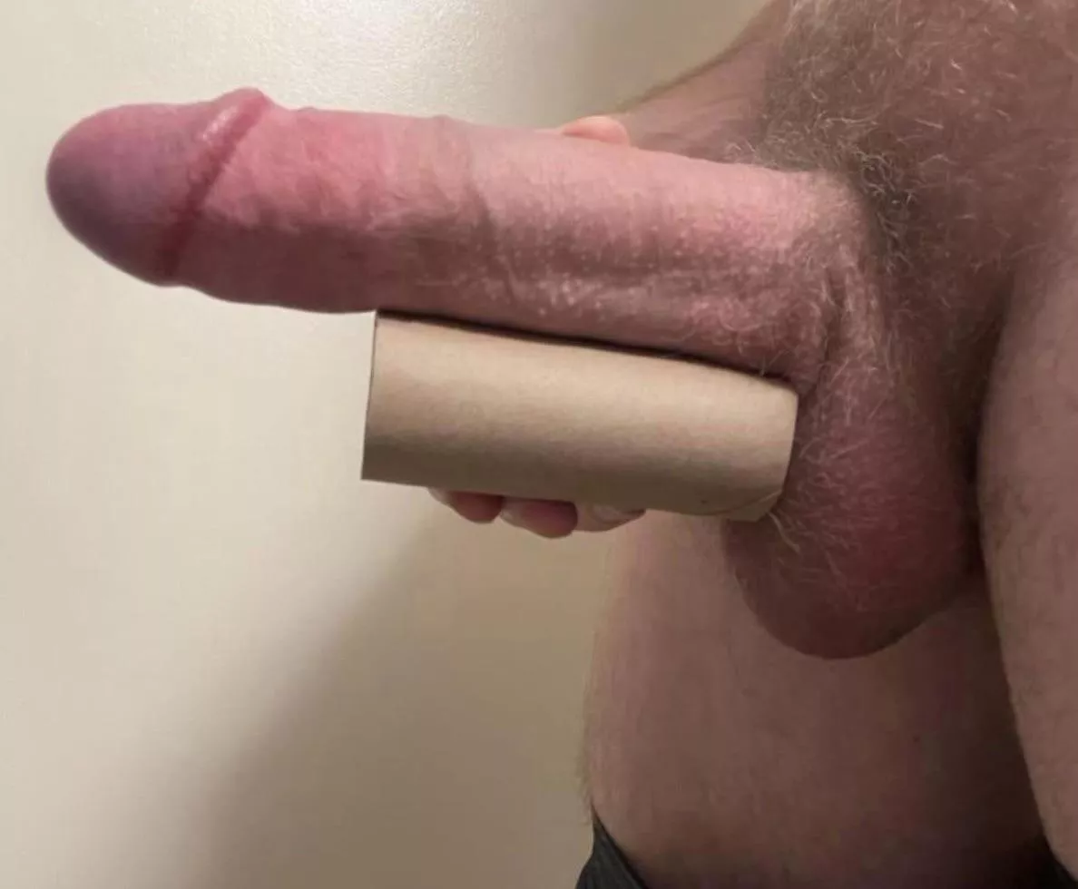 It’s been a long no nut November. This sack is getting too full. posted by CuriousAlphaBeta