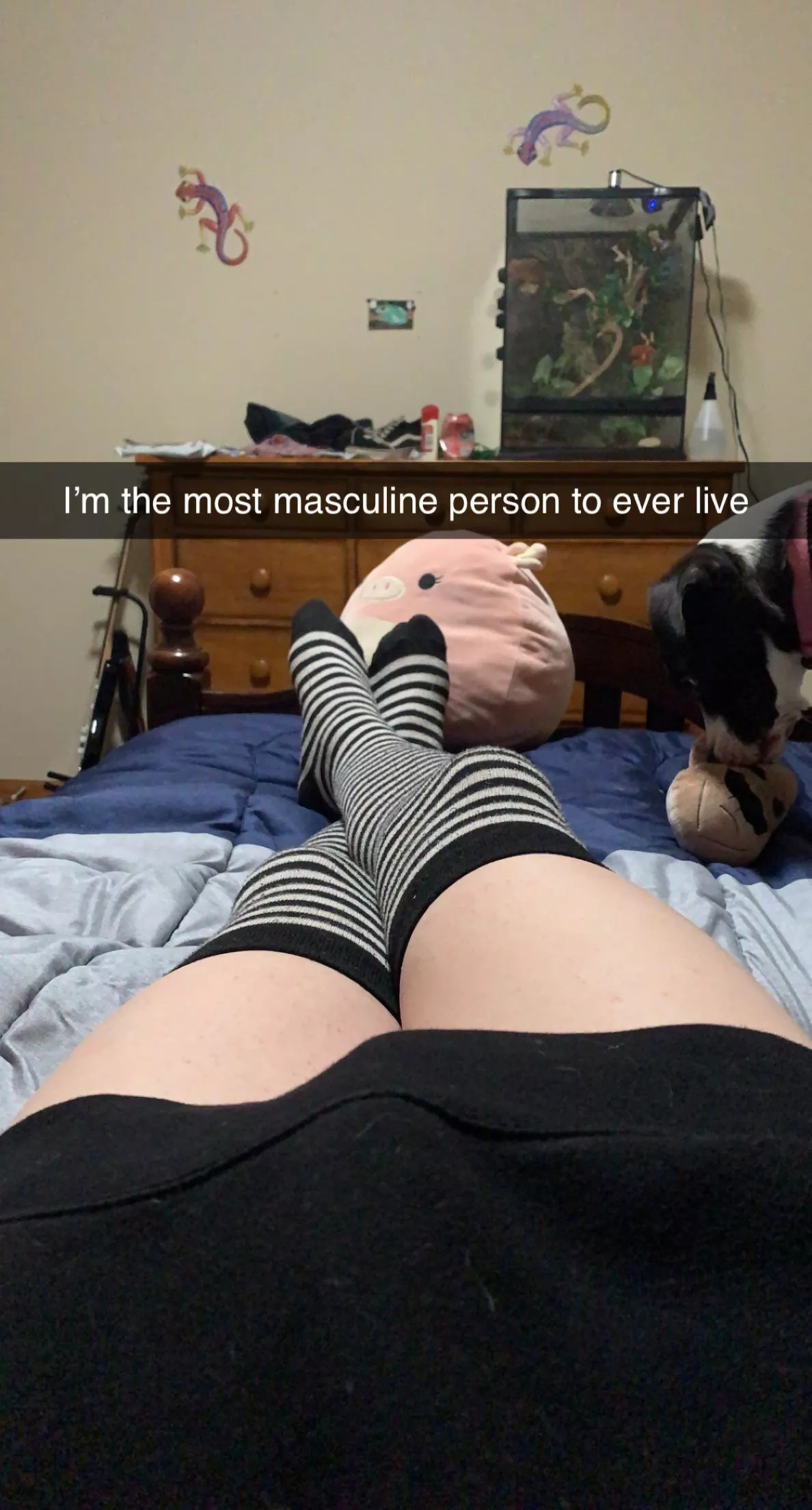 It’s femboy Friday and I almost forgot! Hope this makes up for it posted by FuckIt_HornyFemboy