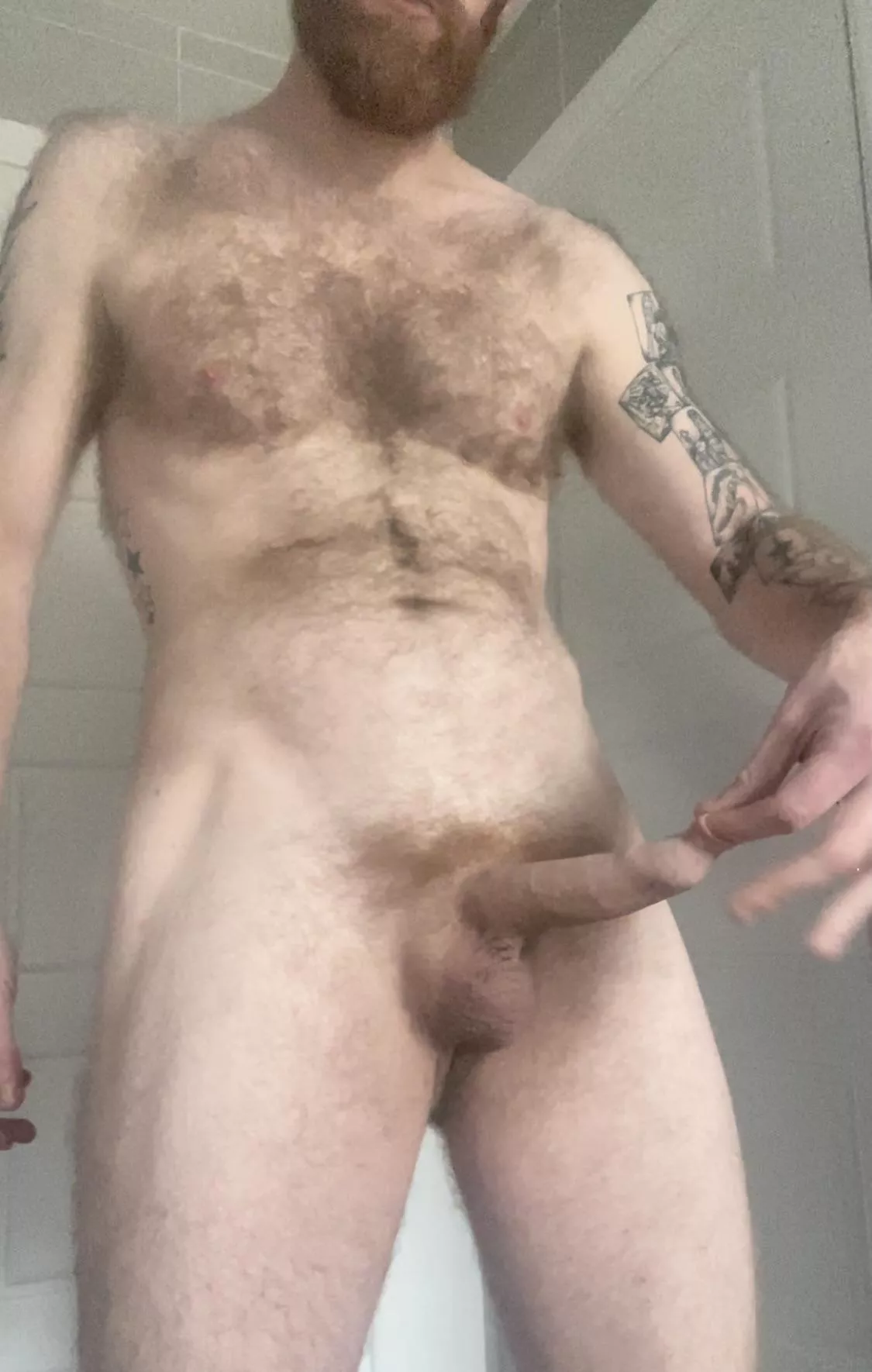 It’s foreskin Friday again! posted by gbrad1983