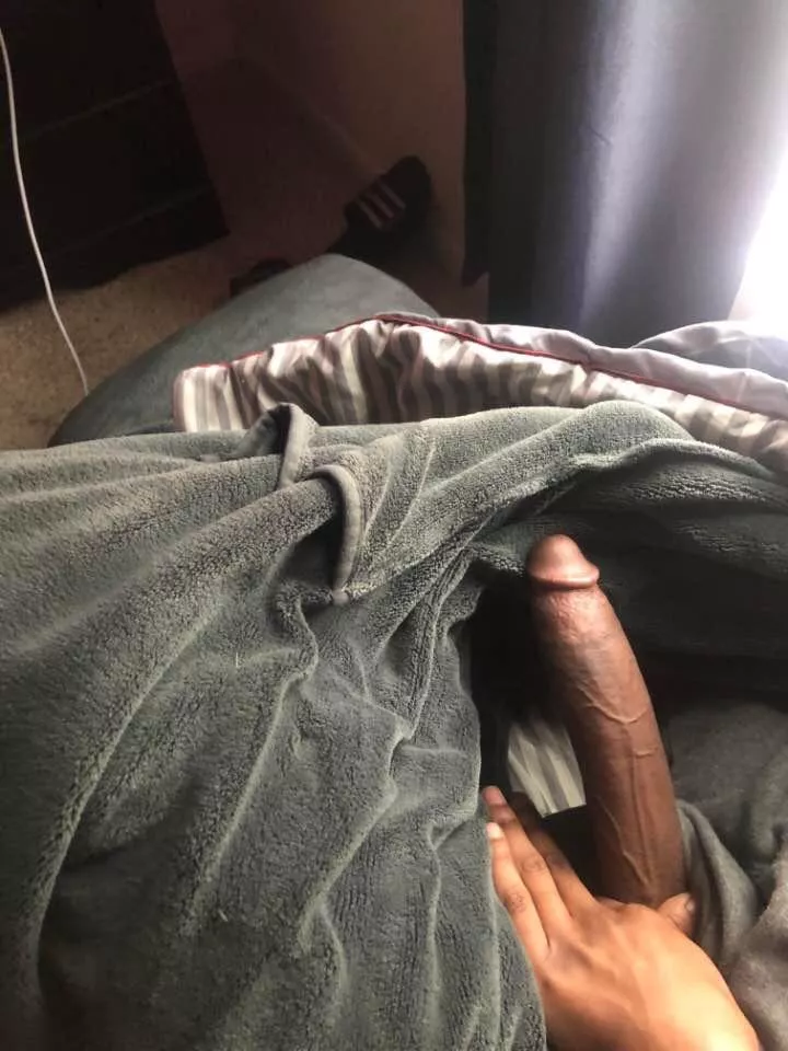 It’s looking for some pussies to fuck !🤦🏾 posted by Additional_Cash5360