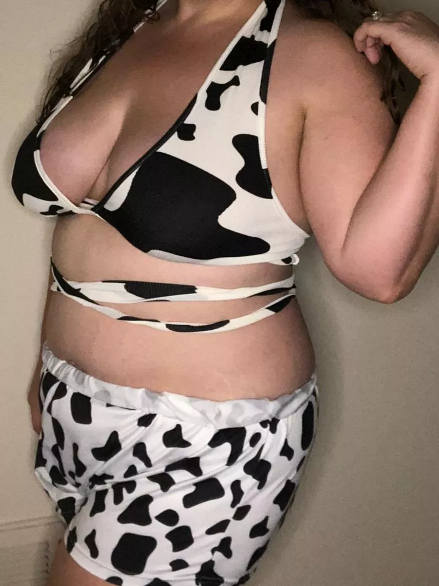 It's Moo Monday! posted by WorkNtheAM