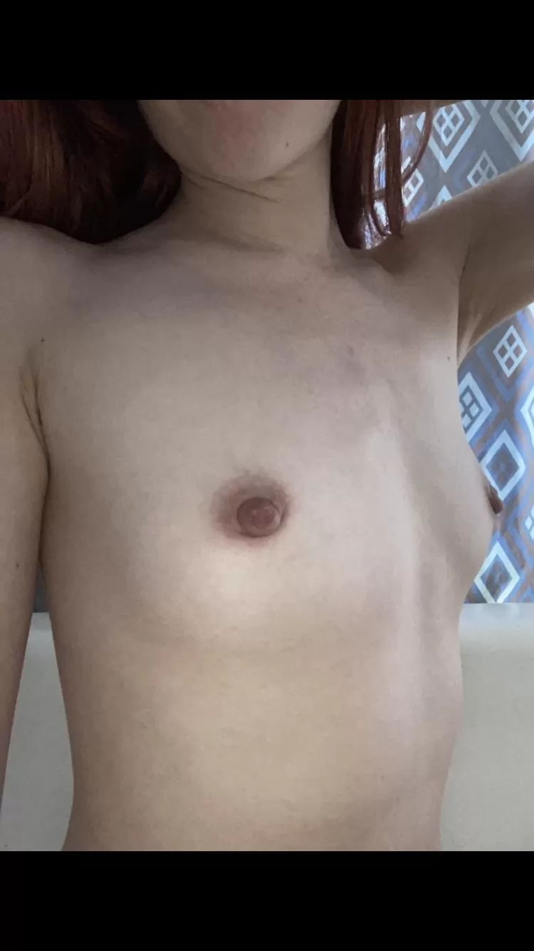 I’ve always been so insecure of my tiny boobs, I’m happy there are subreddits for us small chests! ❤️ posted by Majestic__198