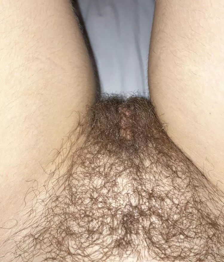 I’ve been letting it grow, what do you think? posted by Freaky_Goddess