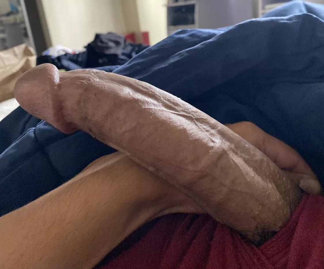 Iâ€™ve been told I have a long dick, agree? posted by Hungboy619