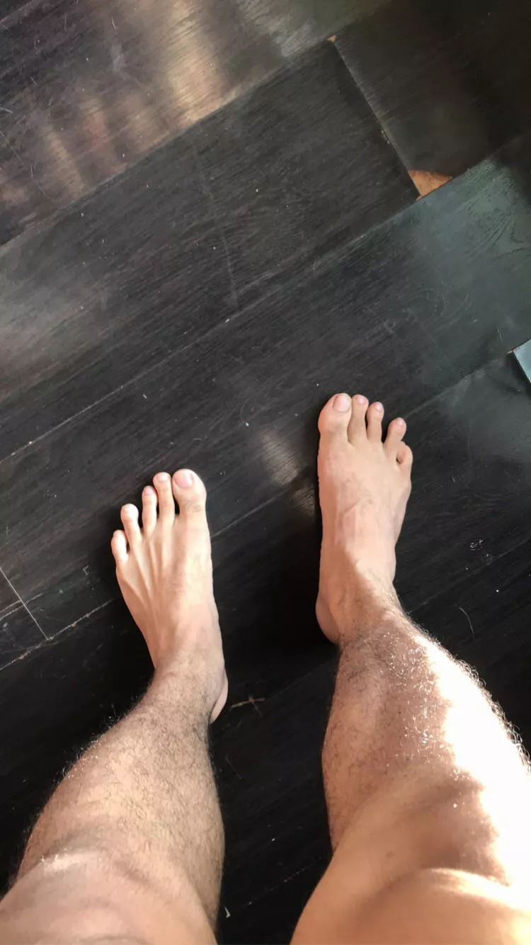 I’ve been told I’ve nice feet. What do you think? posted by Houselannister_69