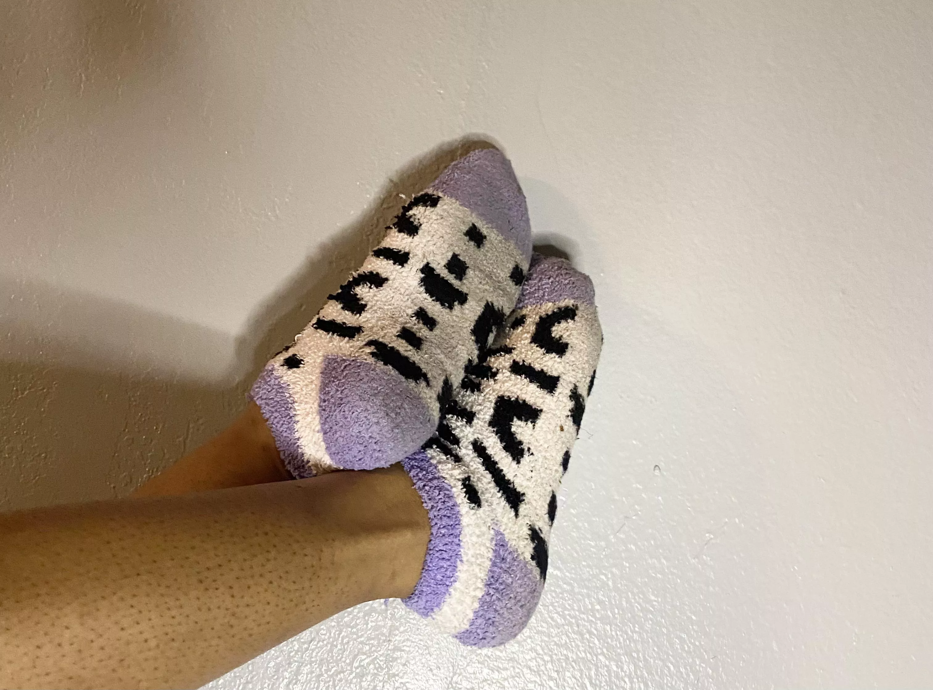 Ive been walking around in these dirty socks for a week, my foot scent is immaculate[female] • TikTok link in comments posted by Background-Scene-463