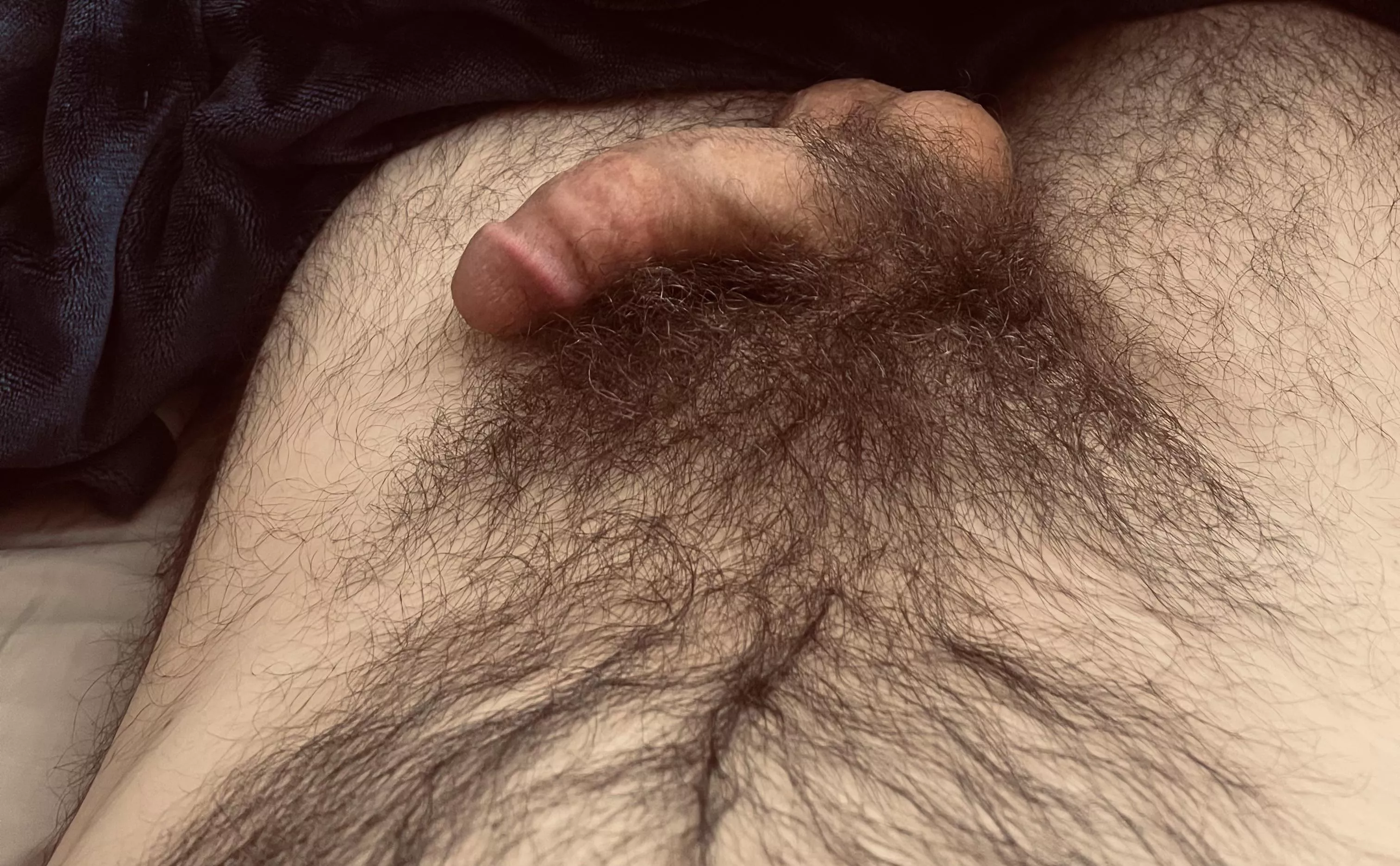 I’ve only shaved a handful of times in my life. It’s been years since the last time. What do you think? posted by JeffYep65