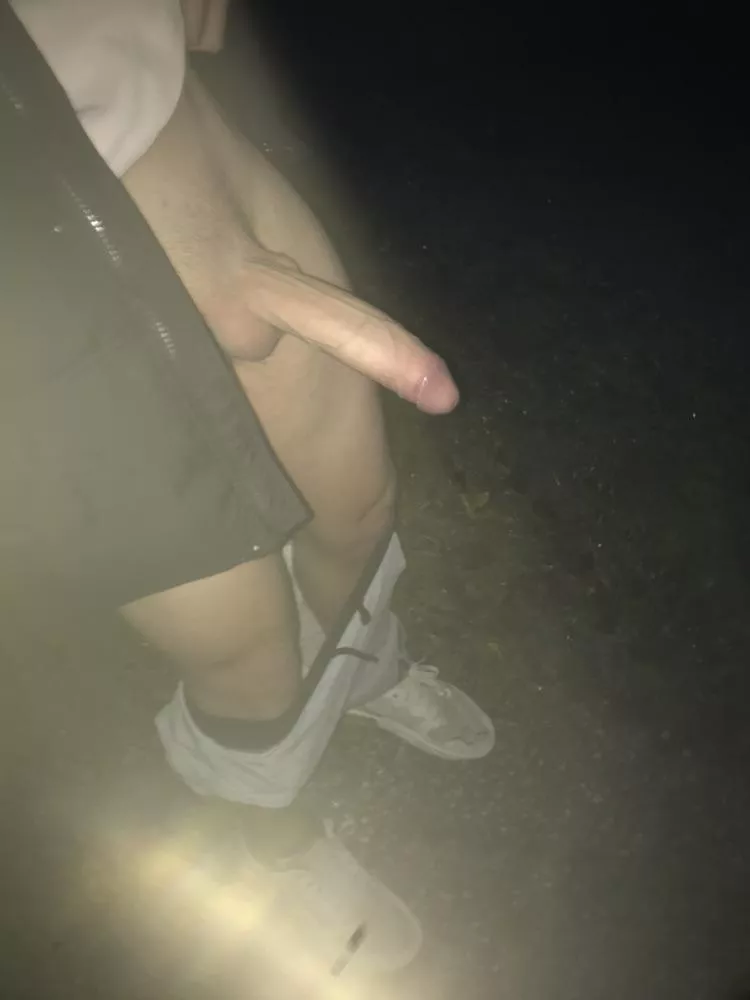 Jerking off outside at night is awesome posted by jumbo710