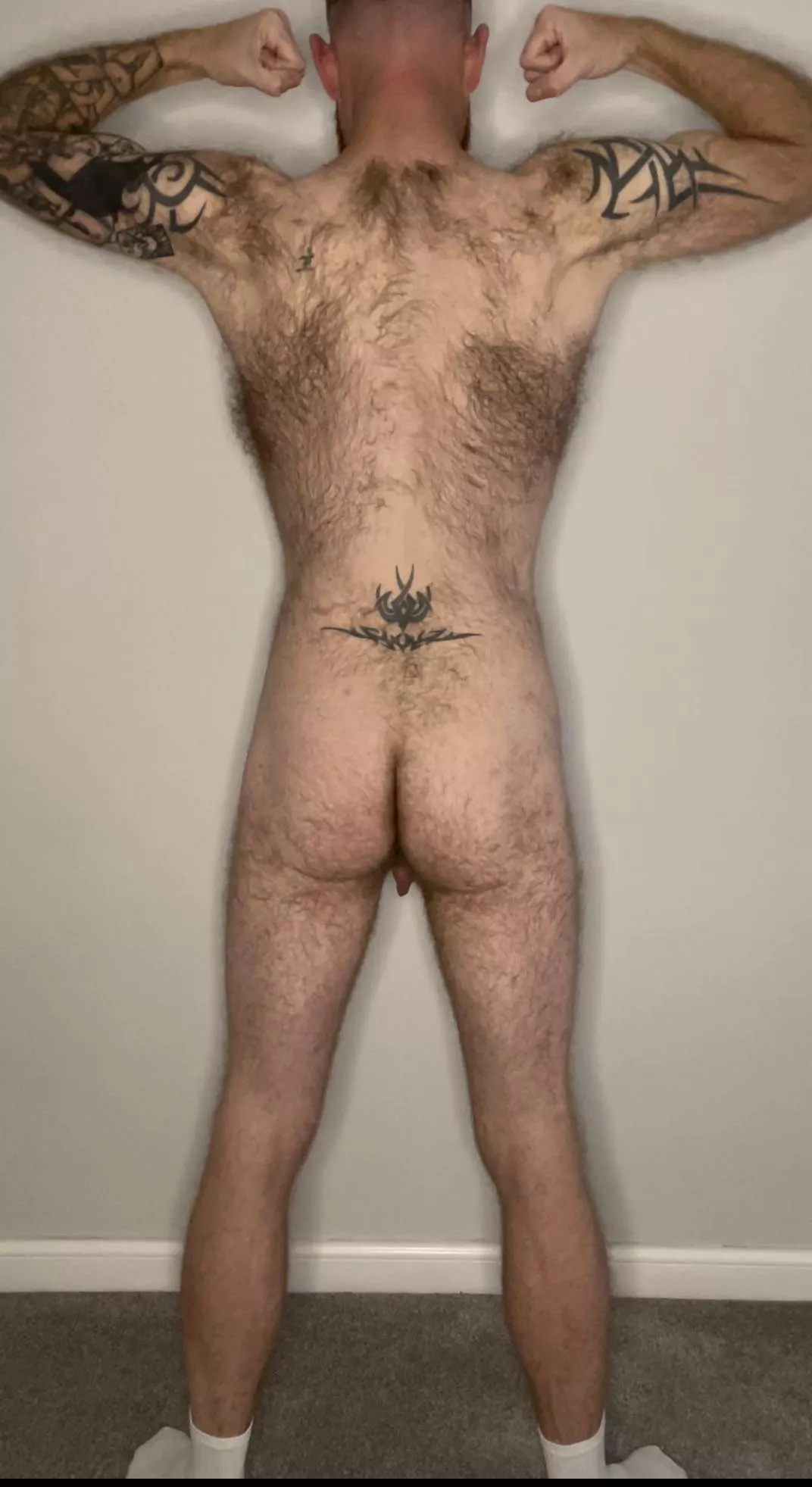 Just a hairy, horny ginger guy who likes to take pics for you. posted by gbrad1983