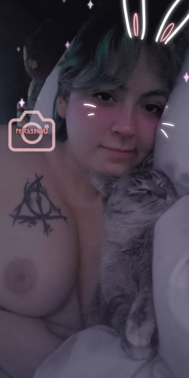 Just a kitty and a titty posted by scribbledjeans